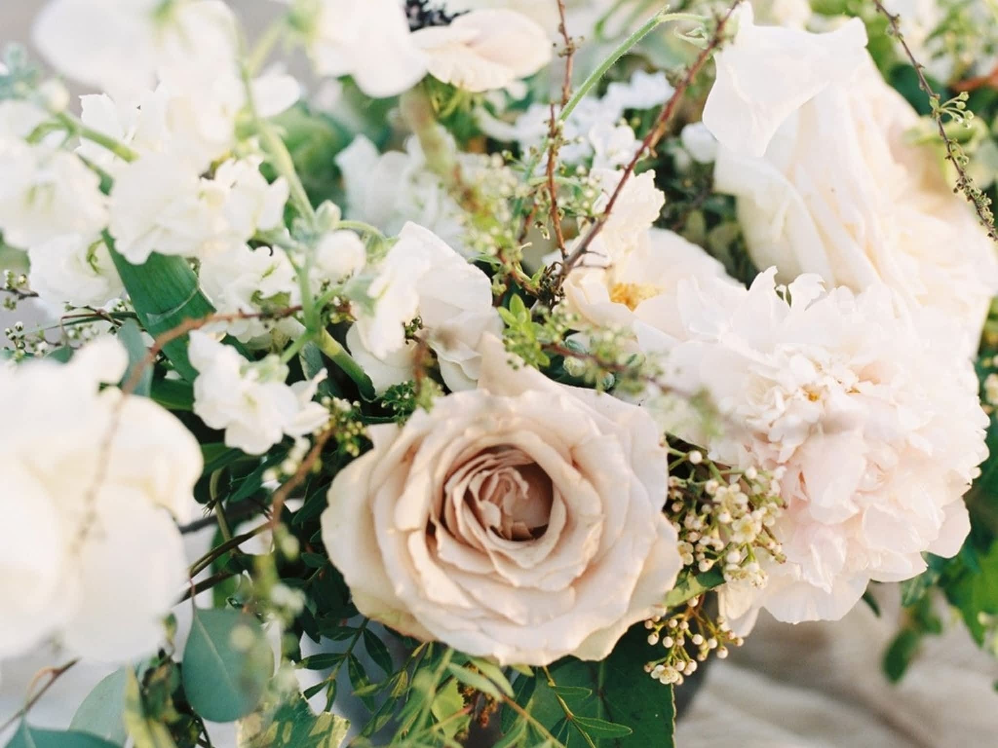 photo Heather Dietz Photography