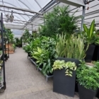 Cole's Florist & Garden Centre - Garden Centres