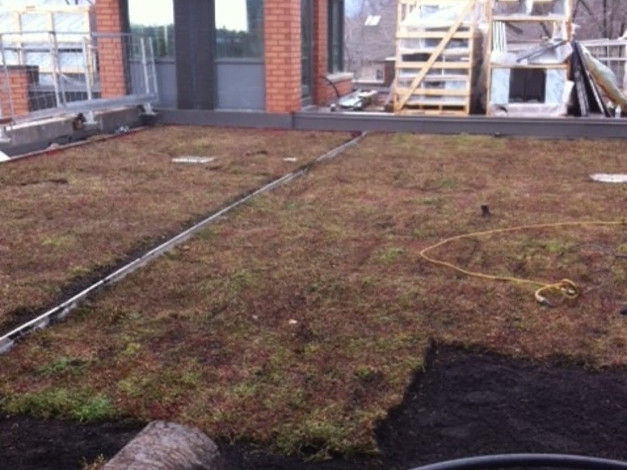 photo Avalos Construction