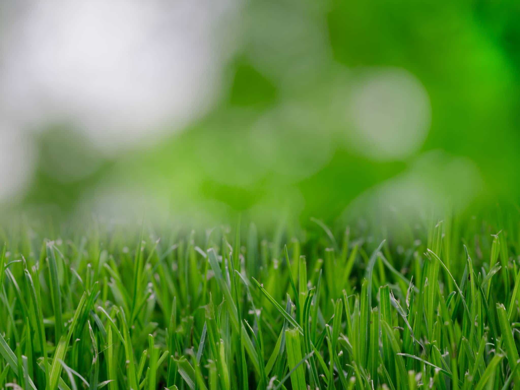 photo Simpson Enterprise