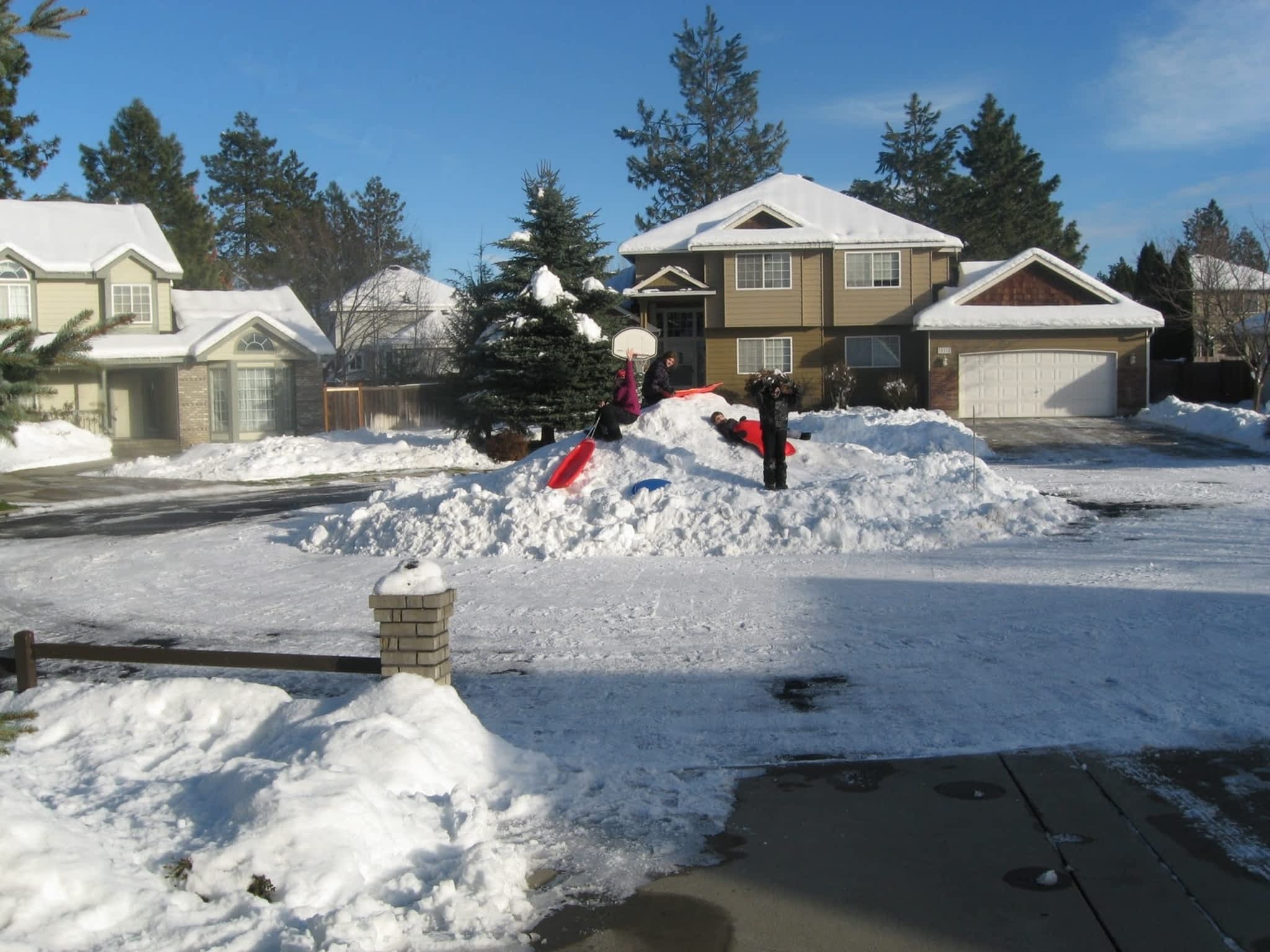 photo Mad Dawg Lawn Maintenance & Snow Removal