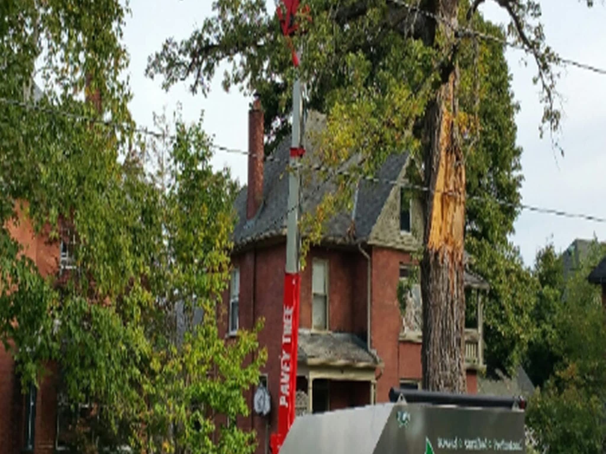 photo Logan Tree Experts