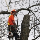 Timberscapes Inc - Service d'entretien d'arbres