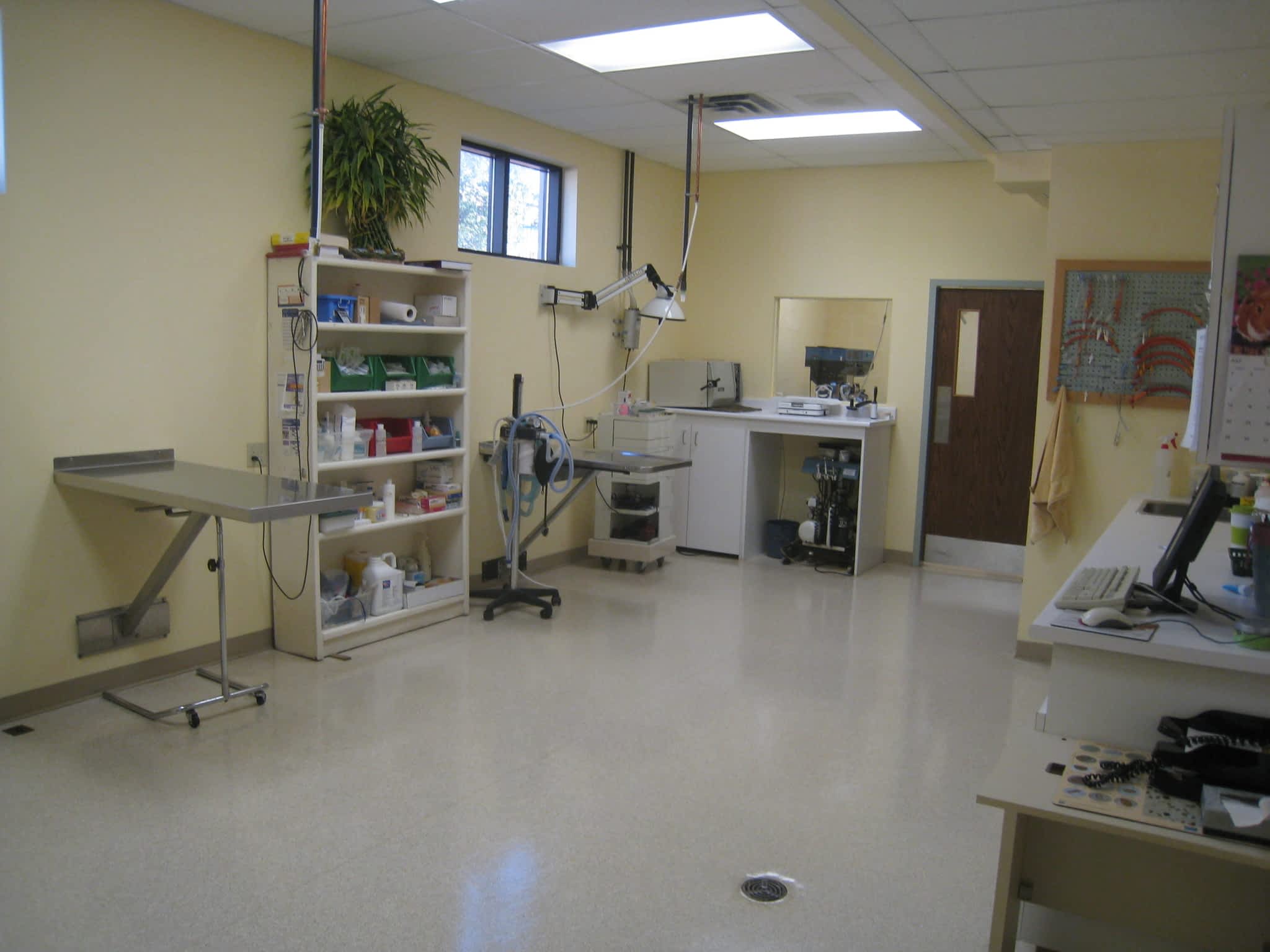 photo Animal Care Clinic