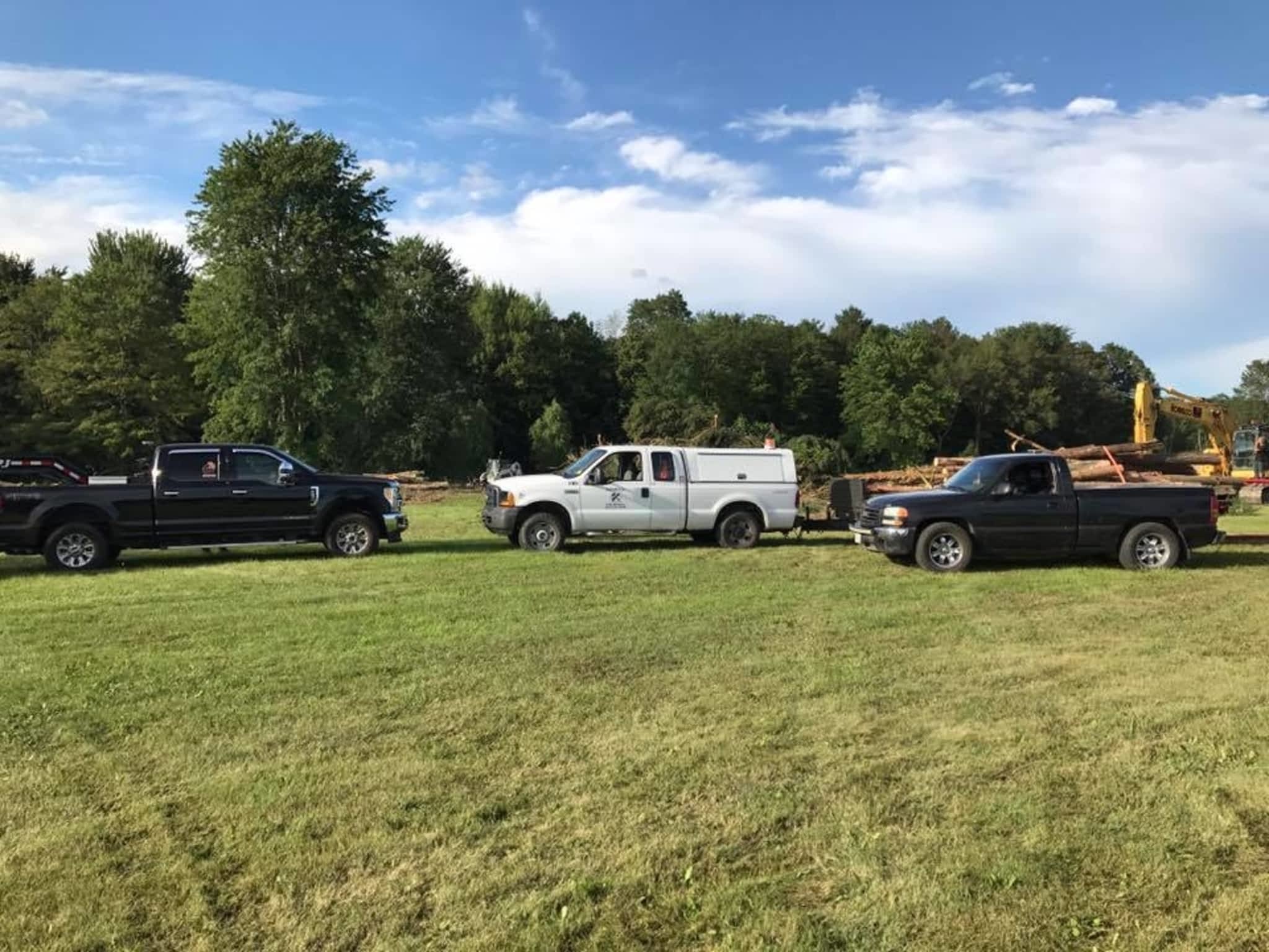 photo Redneck Tree Removal