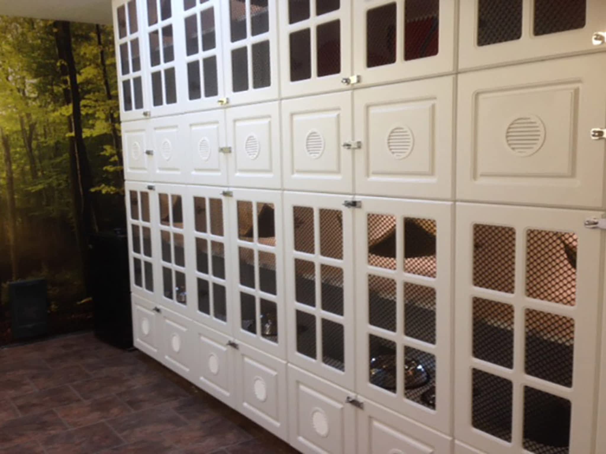 Comfy Cat Kennel Qualicum Beach, BC 5320 Island Hwy W Canpages