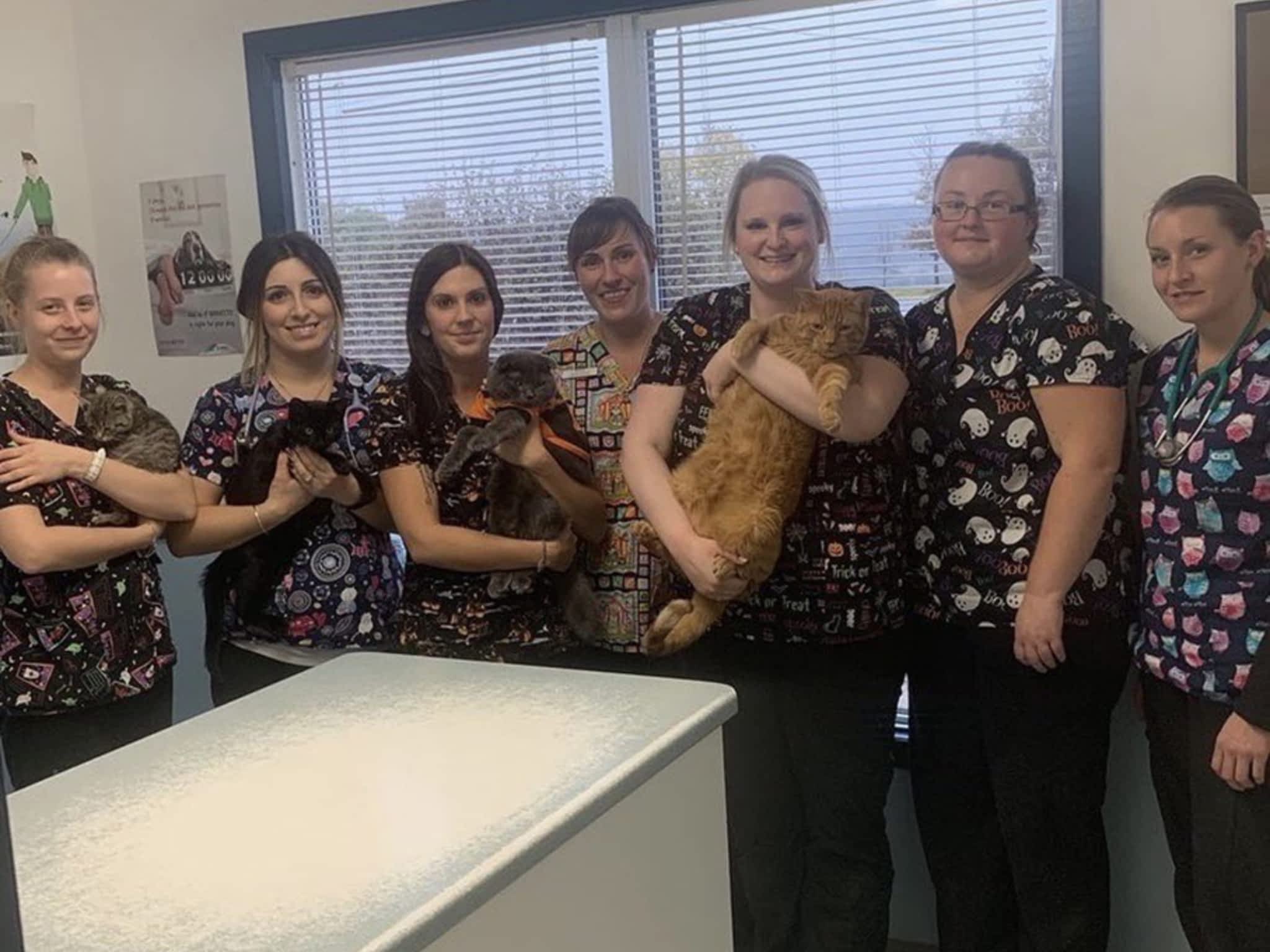 photo Cavan Hills Veterinary Services