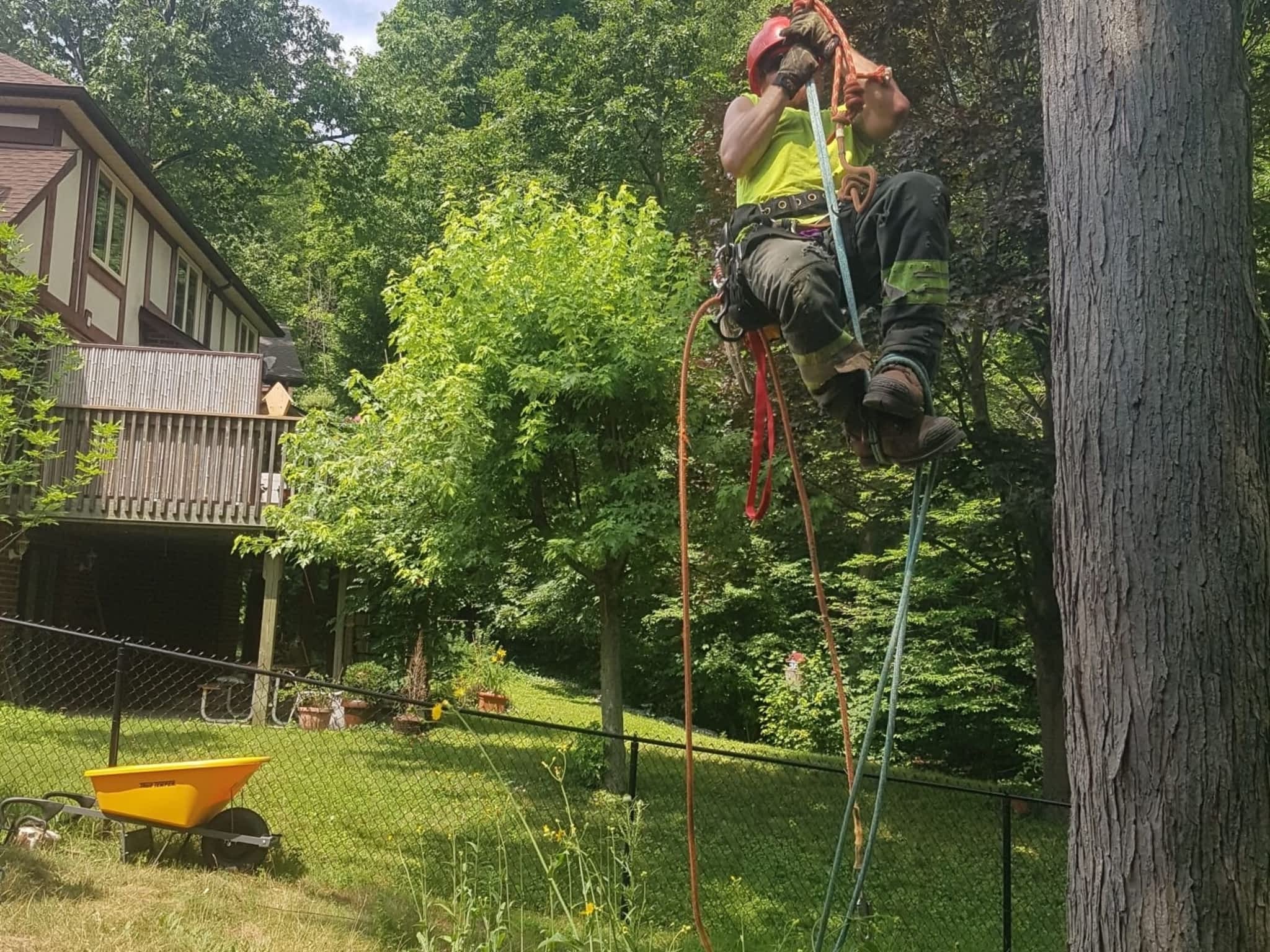 photo Wright's Tree Care