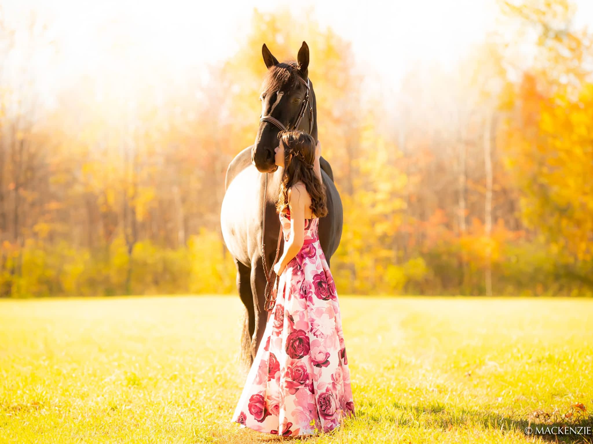 photo Wynbrook Equestrian Centre