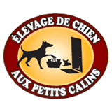 Voir le profil de Élevage de Chiens aux Petits Câlins - Hampstead