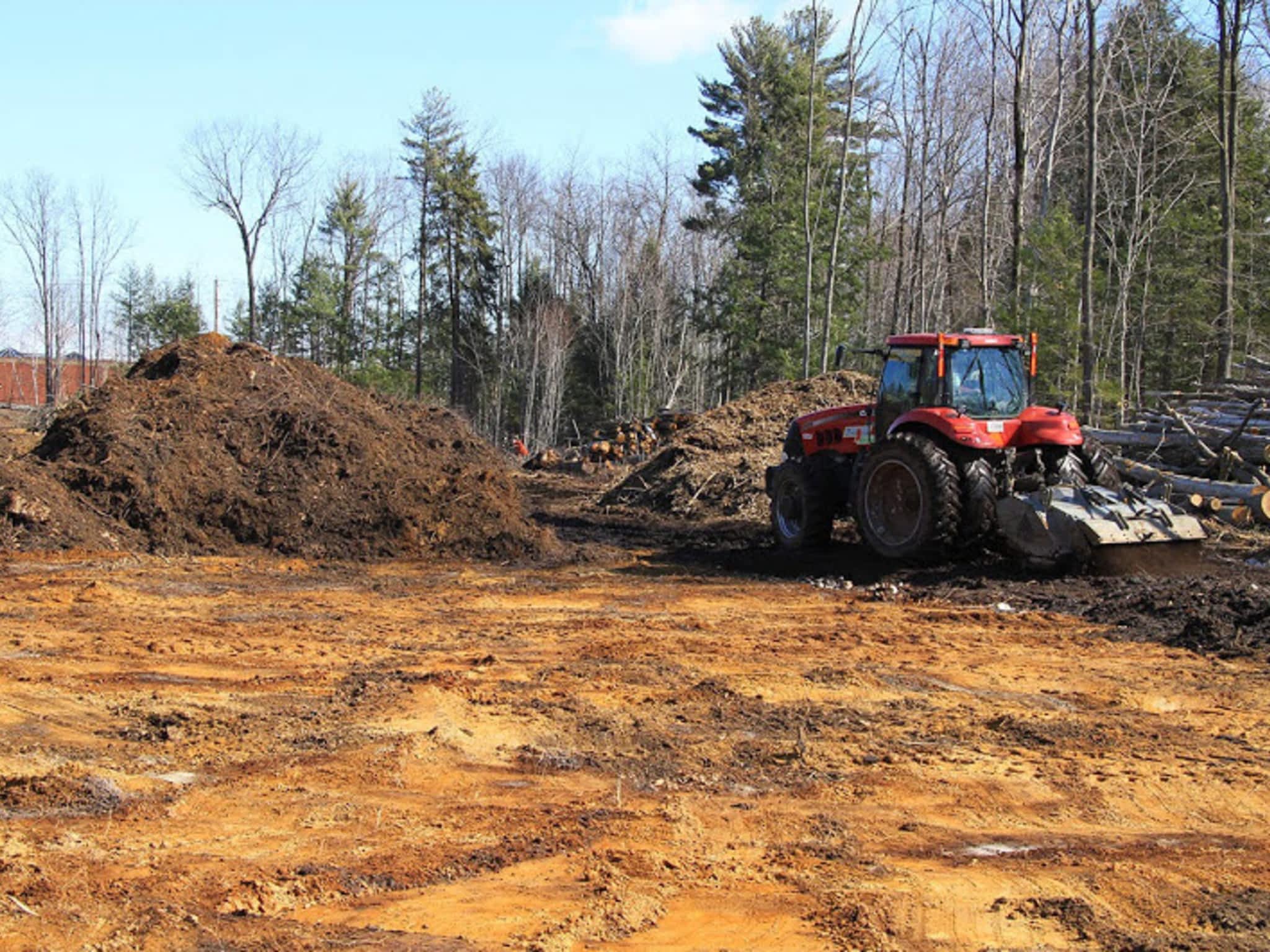 photo Émondage Bédard