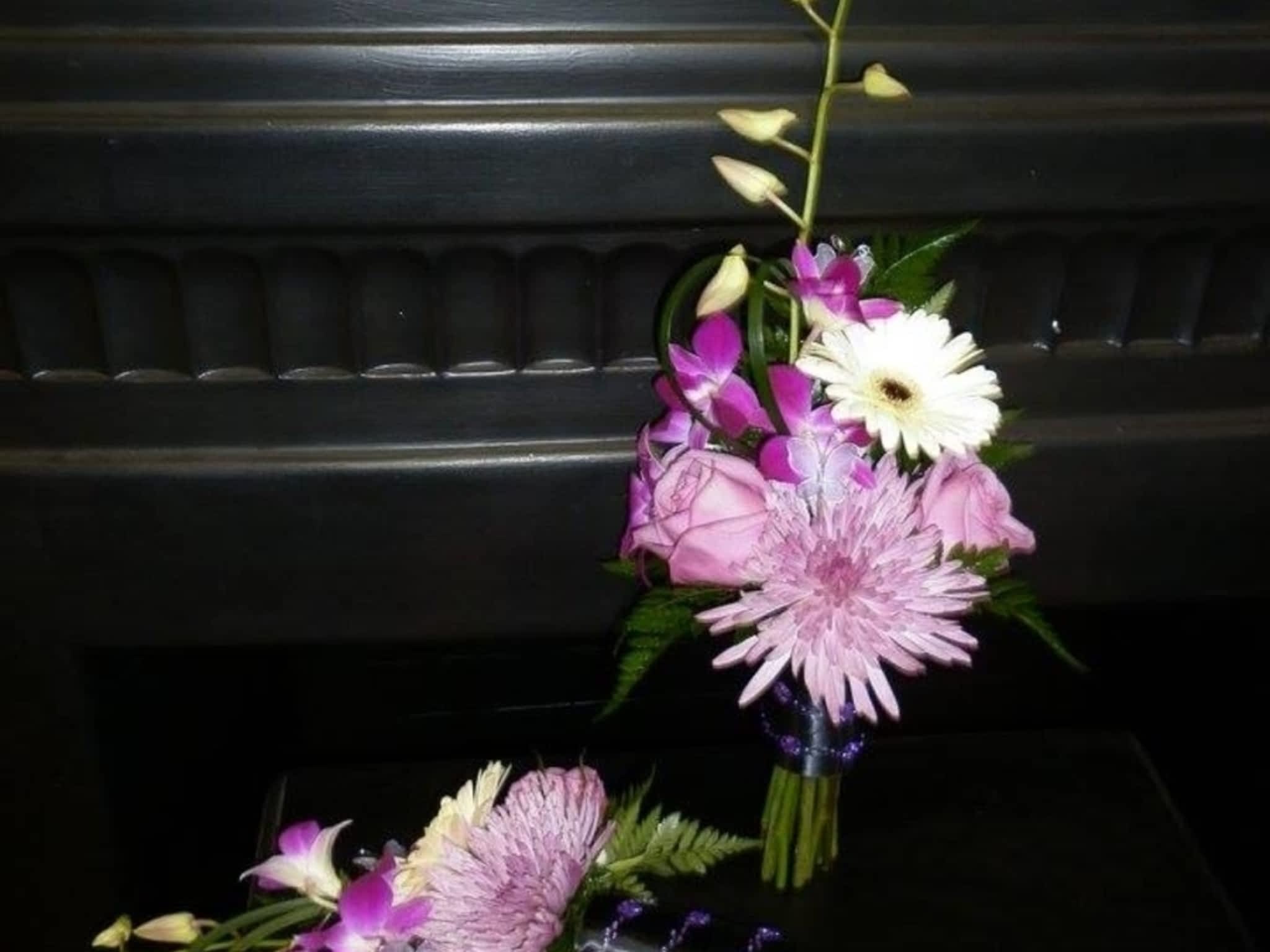 photo Blooms Flowers