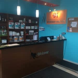 Kitchener Central Veterinary Hospital Opening Hours 720
