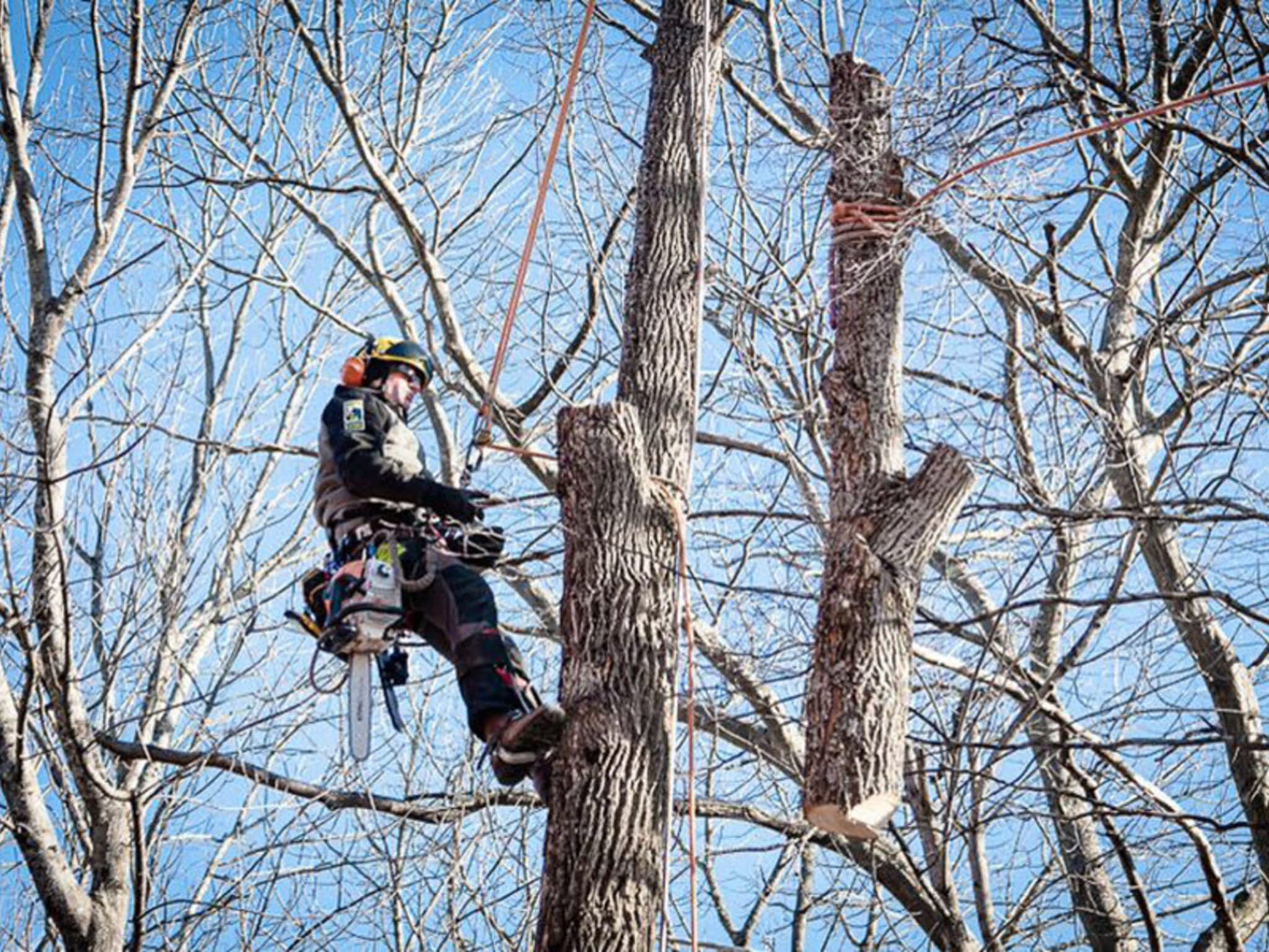 Treecologic Richibucto Road, NB 140 Melissa Street Canpages