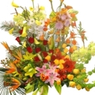 Oakville Florist Shop - Florists & Flower Shops