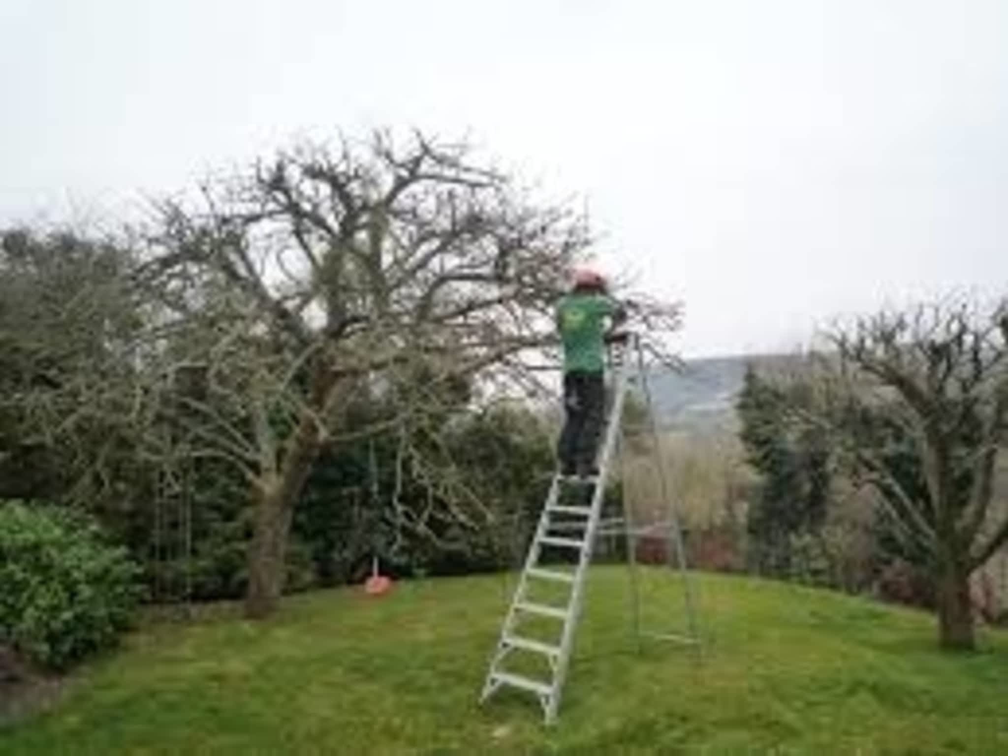 photo Pro Tree Services