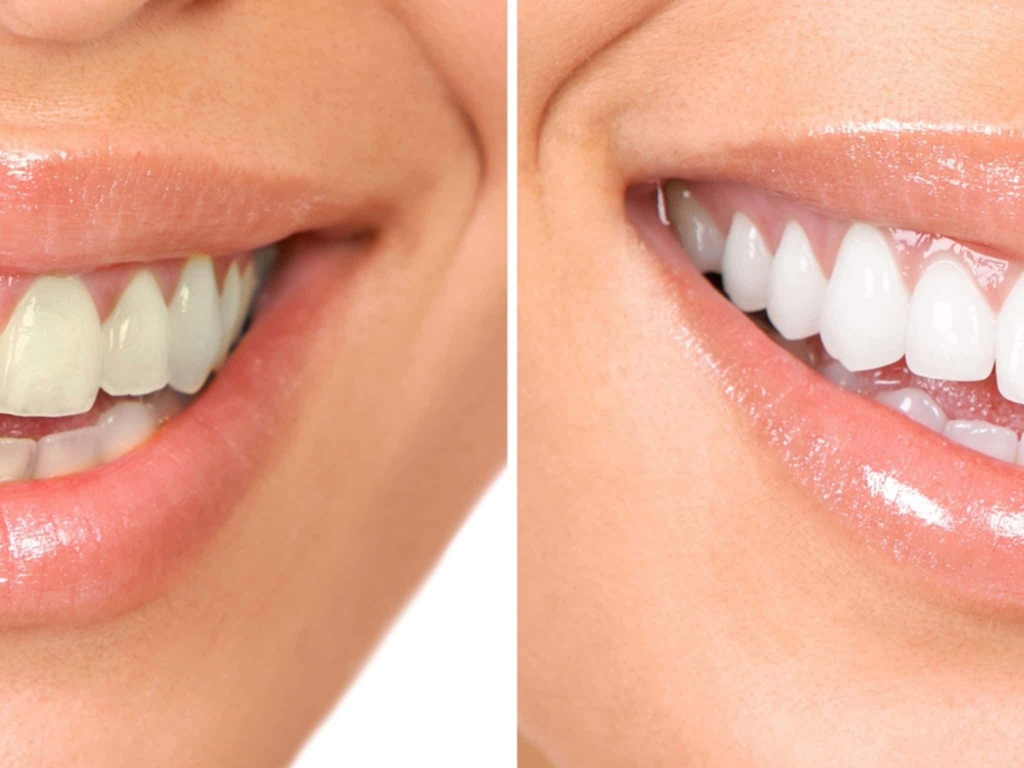 photo Malo Steven Dr