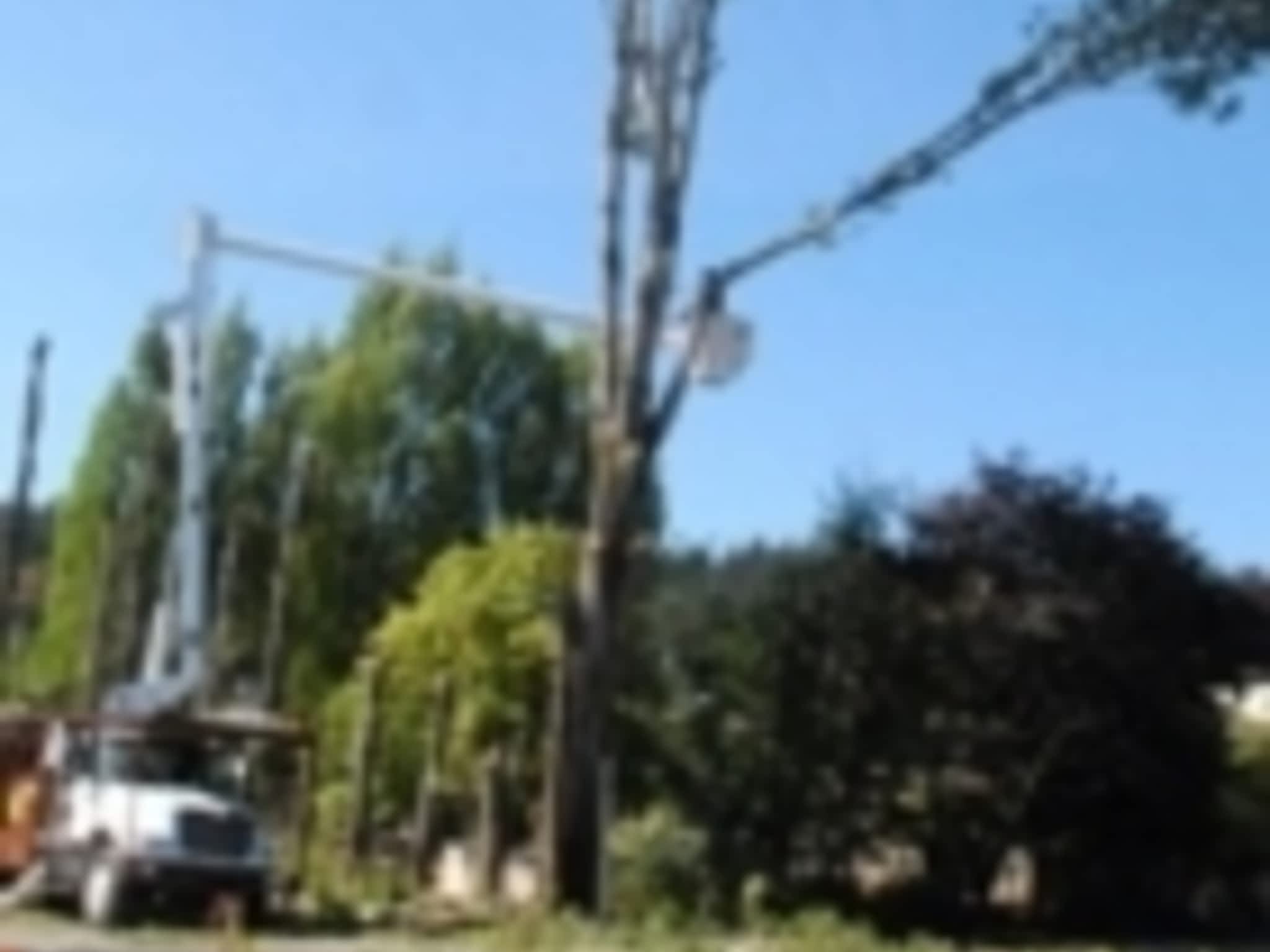 photo Libra Tree Services Ltd