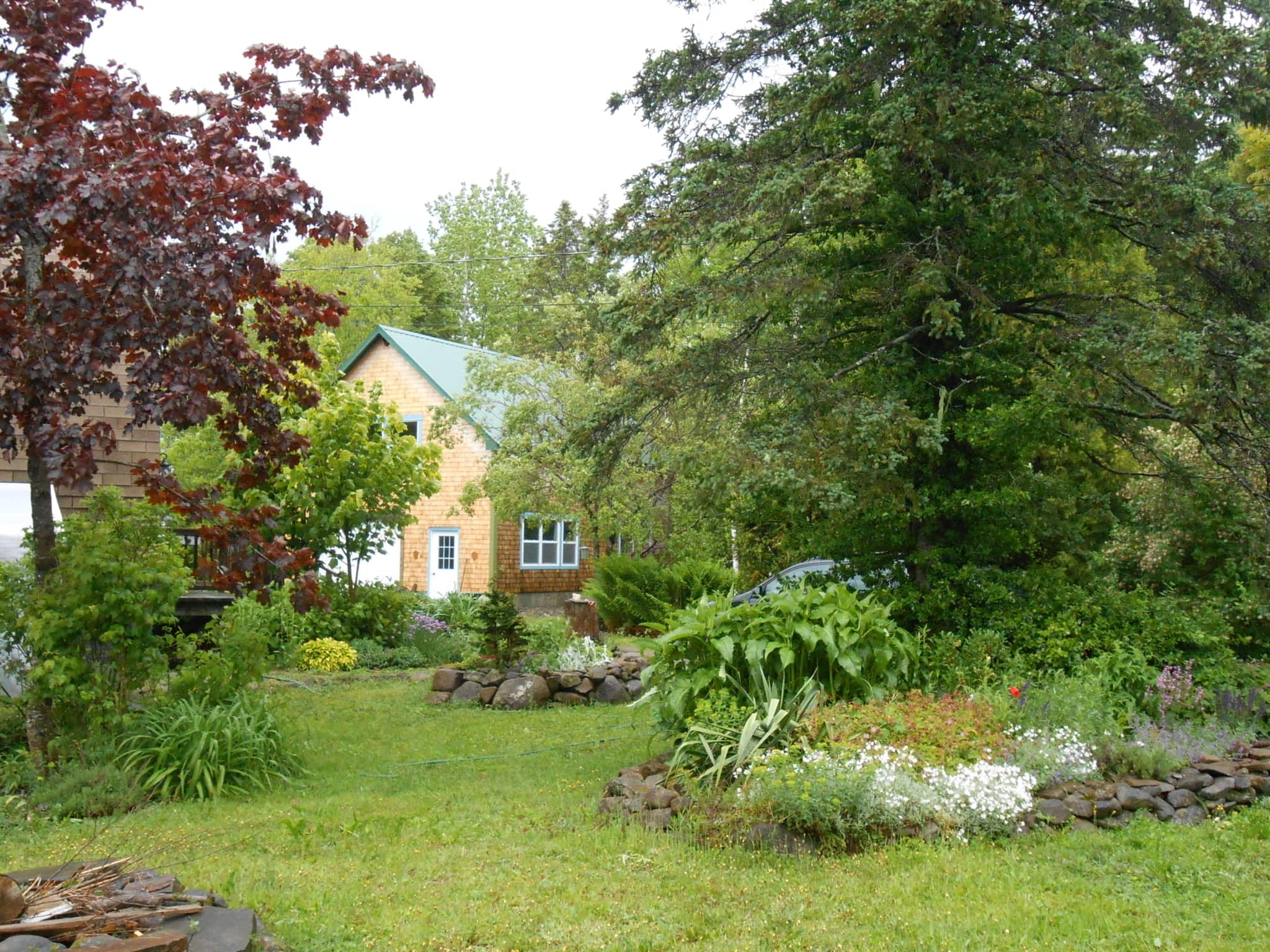 photo Deep Ocean Landscape Design