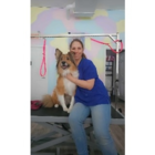 Salon Toilettage SassyPaws - Pet Grooming, Clipping & Washing