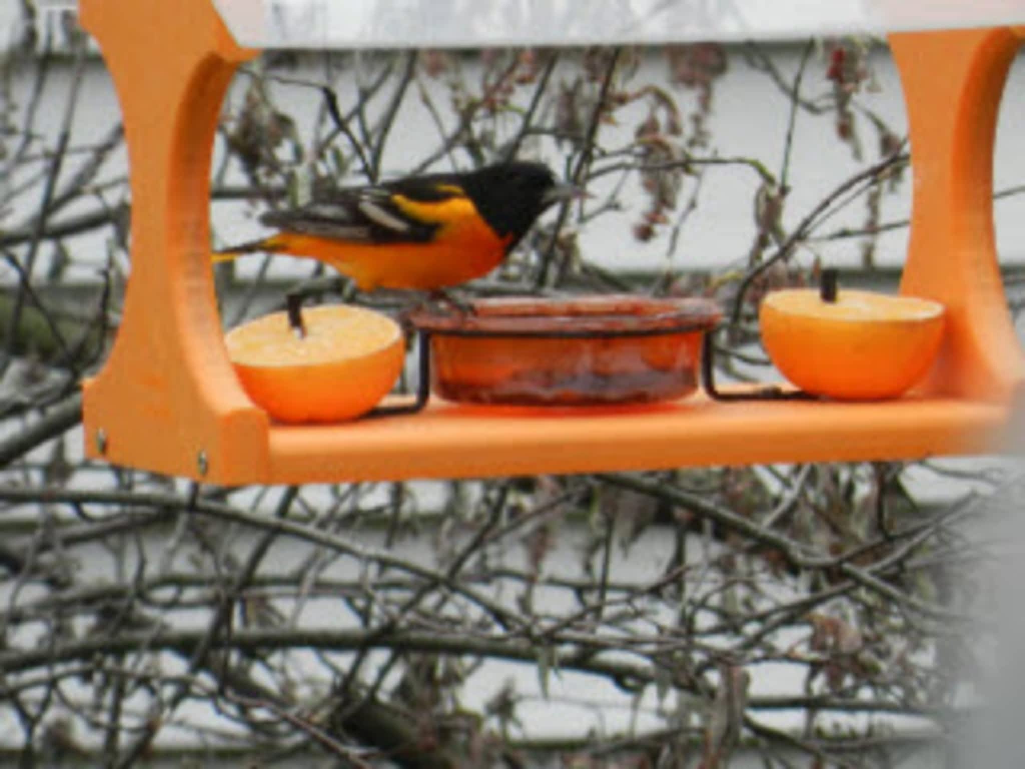 photo The Birdhouse Nature Store