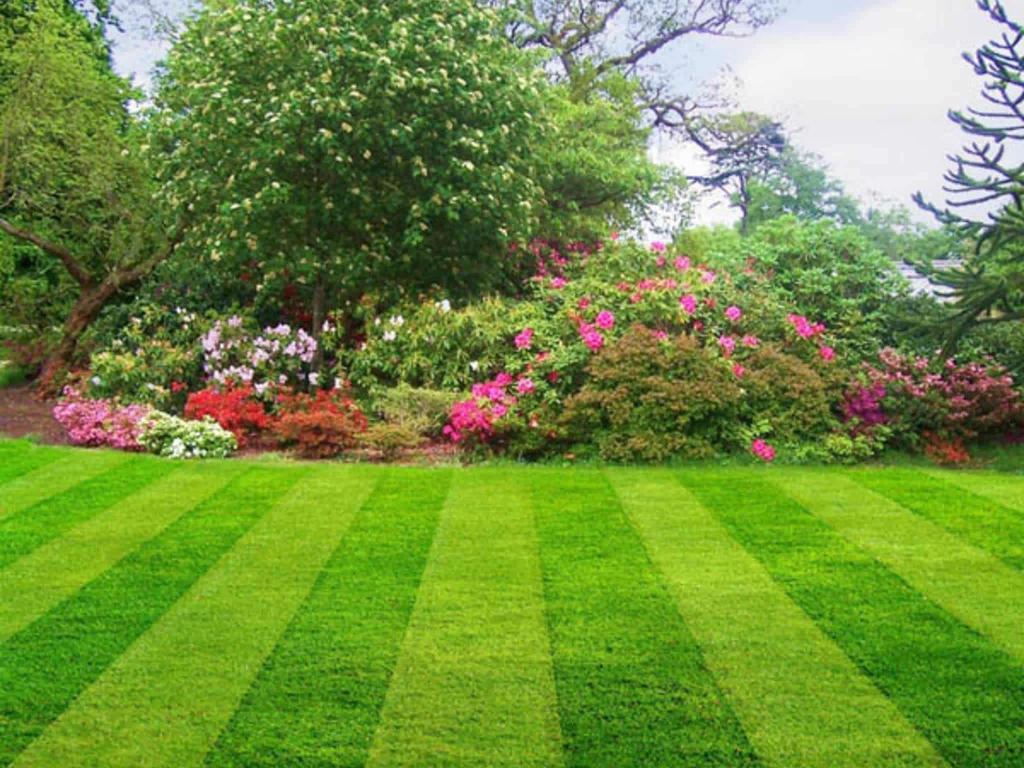 photo TLC Total Lawn Care