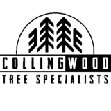Voir le profil de Collingwood Tree Specialists - Stayner