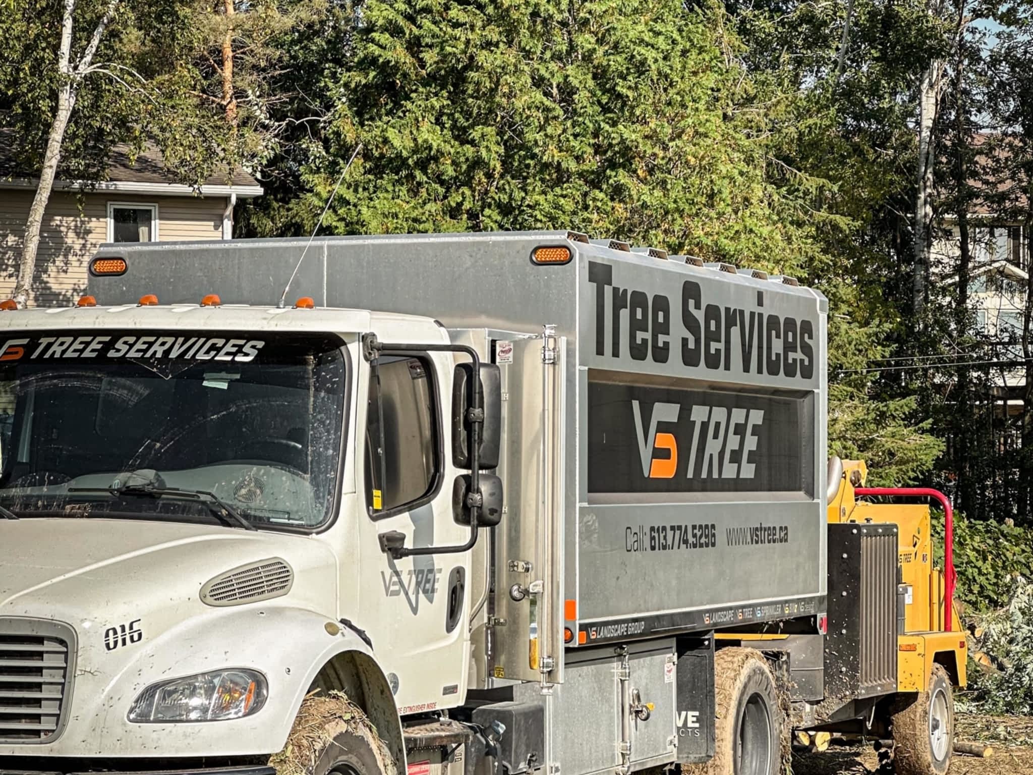 photo VS Tree Services