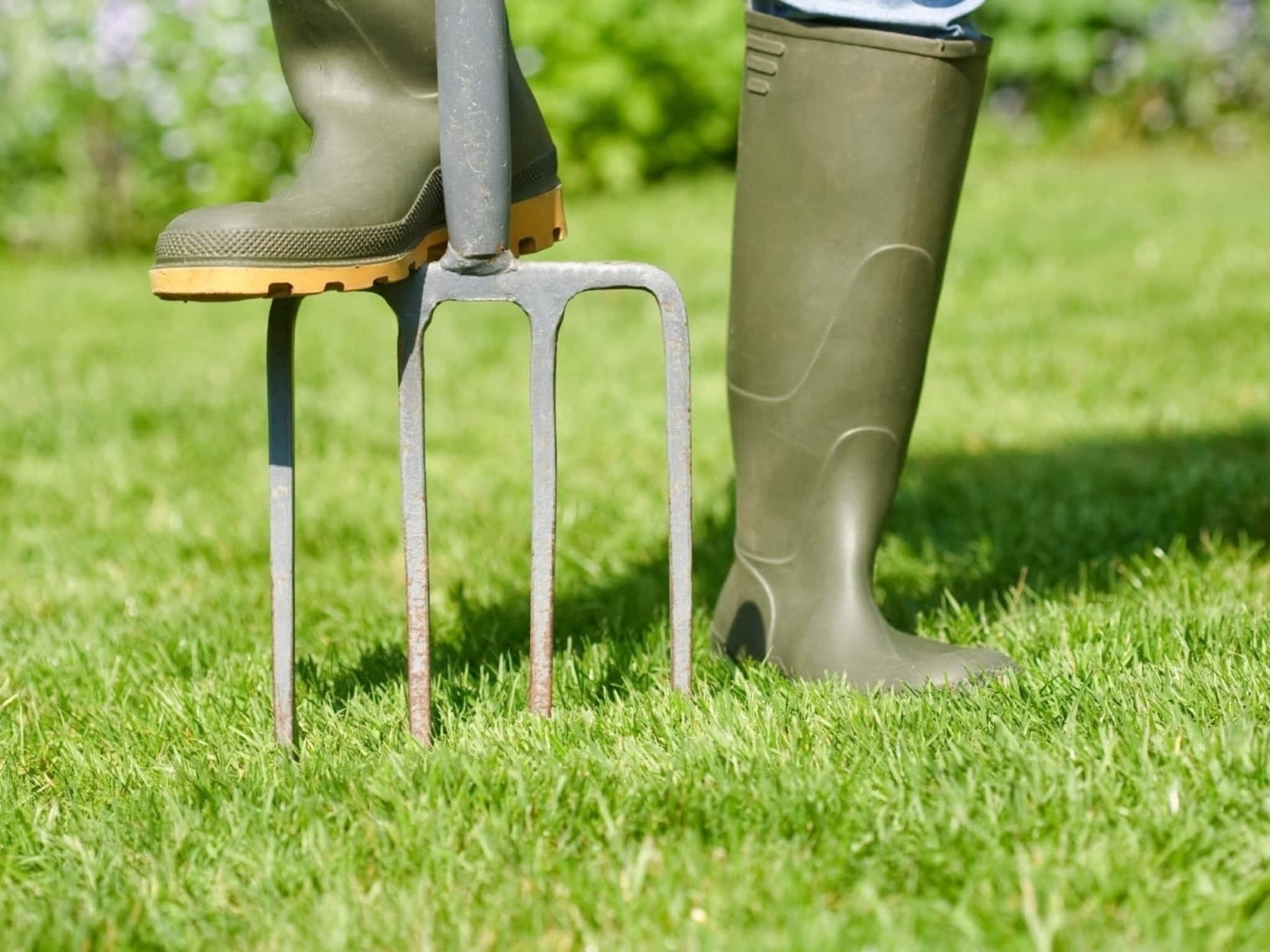 photo Be Yard Smart Inc