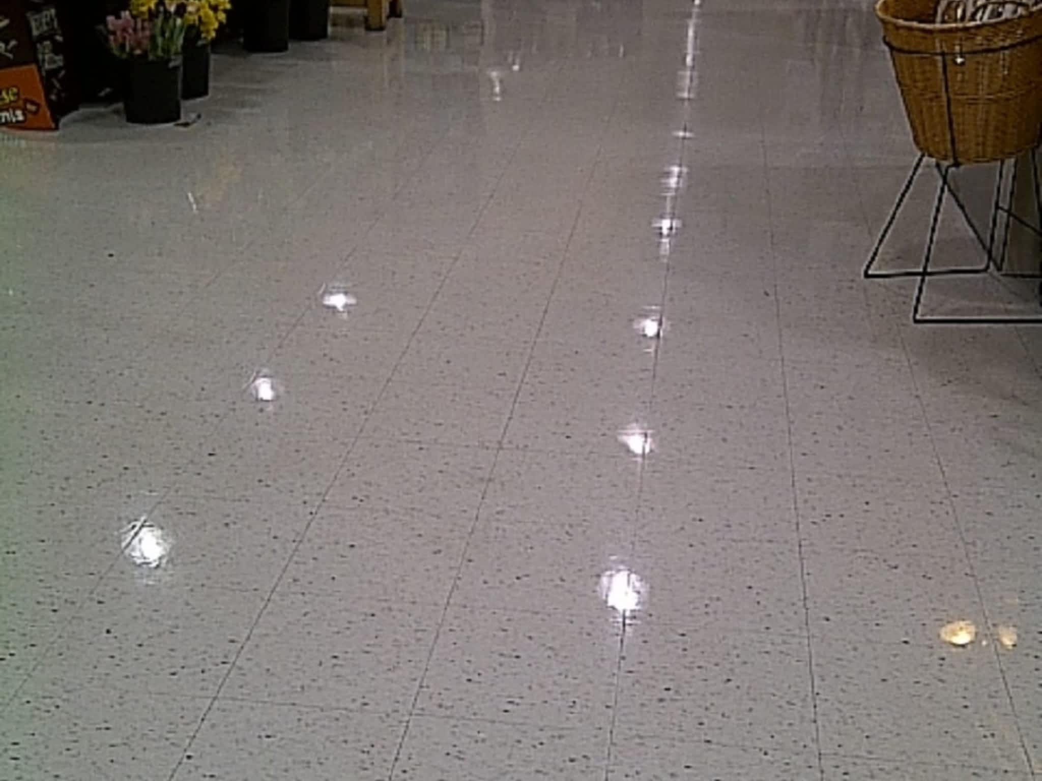 photo Masterpiece Floor Maintenance Ltd