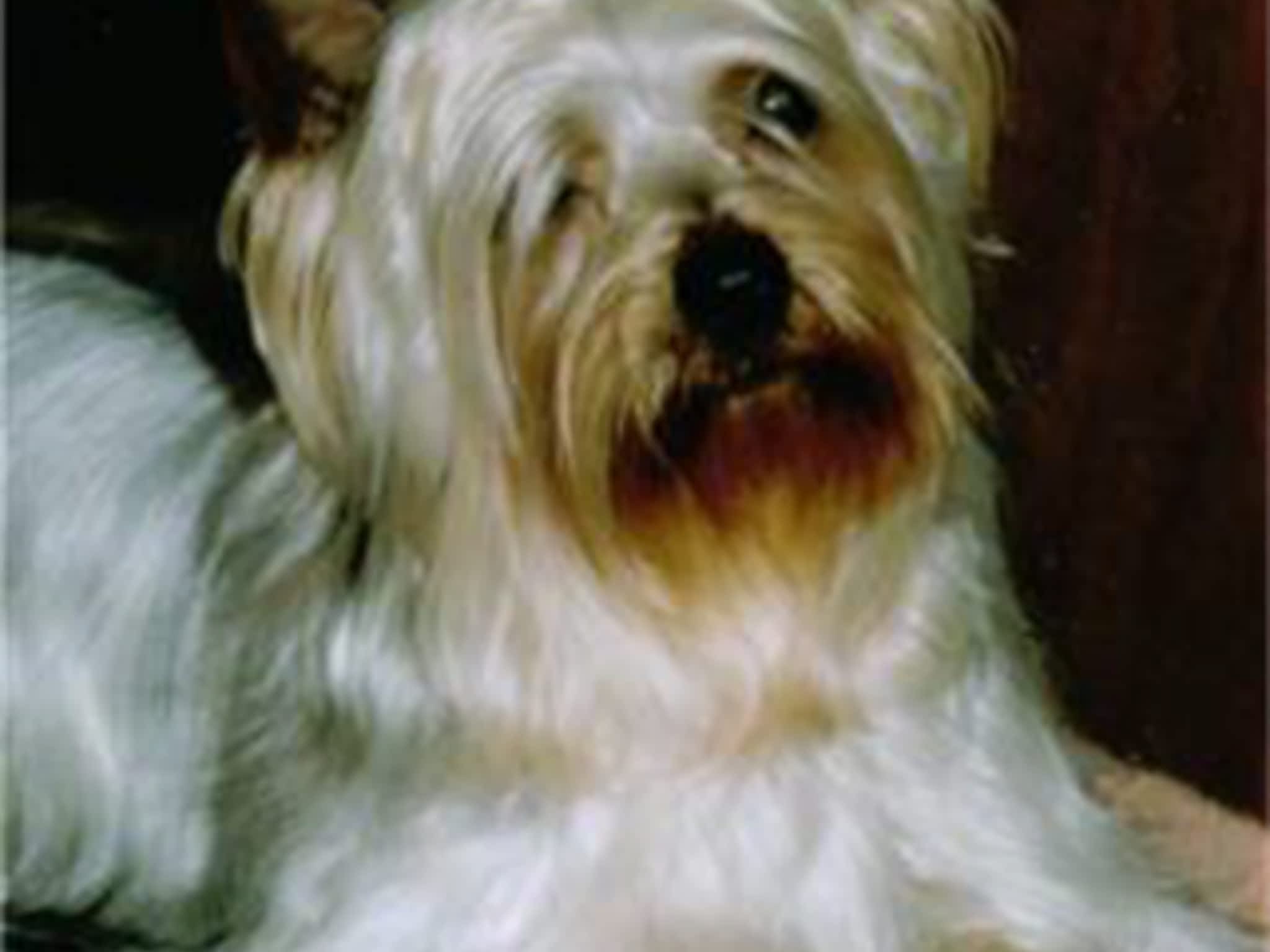 Tripaway Reg'd Boarding Kennels Thunder Bay, ON 995 Gratton Rd