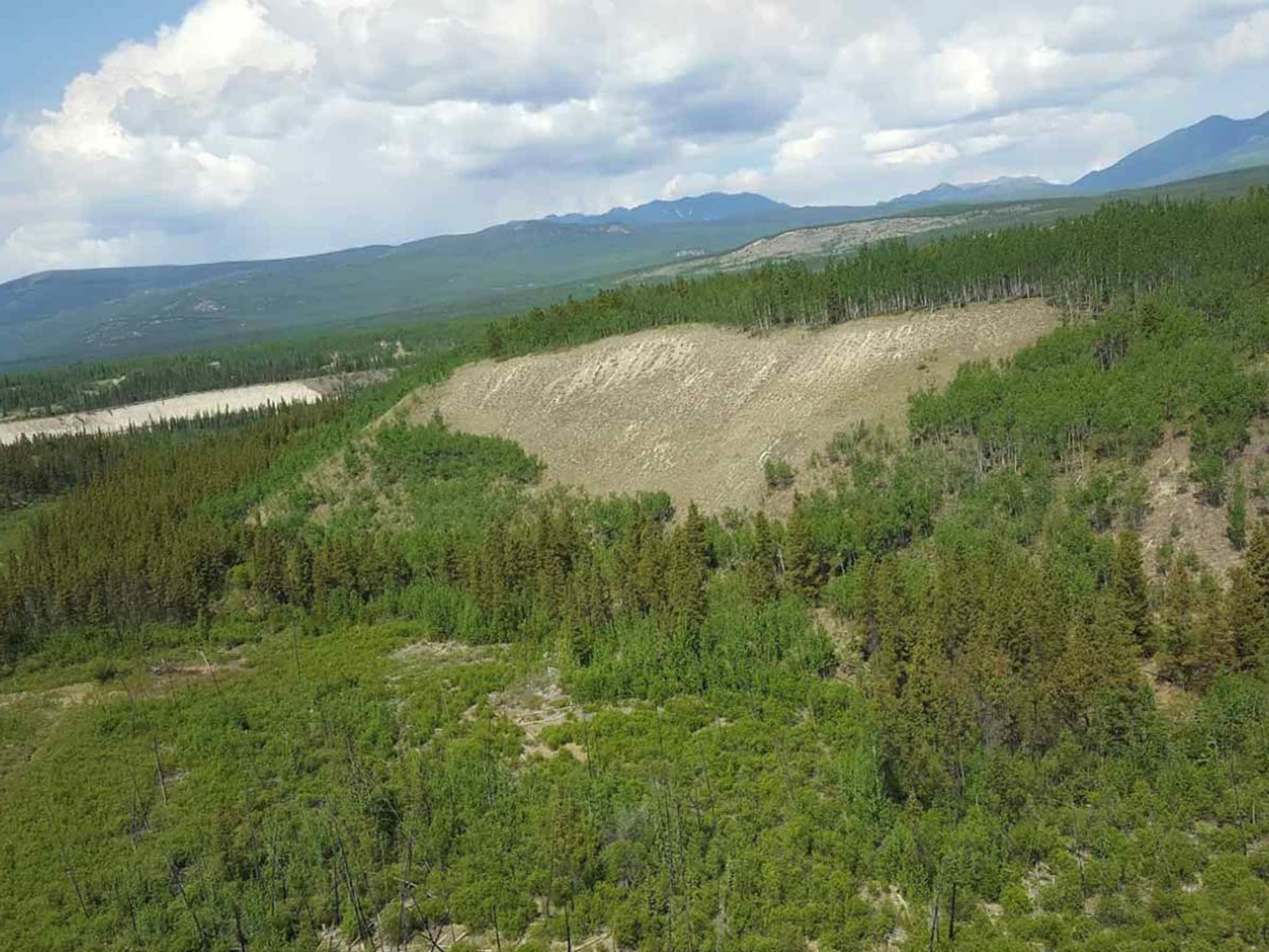 Feed Store The/Pet Junction Whitehorse, YT 9006 Quartz Rd Canpages