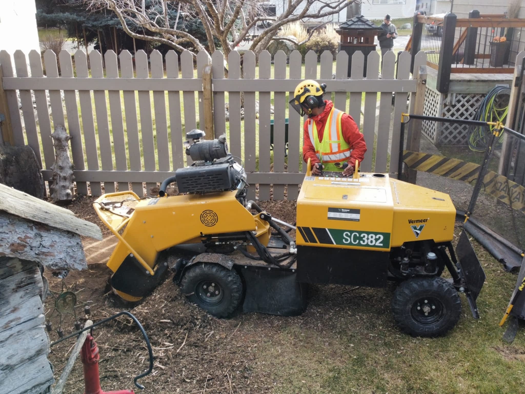 photo Green Leaf Tree Services