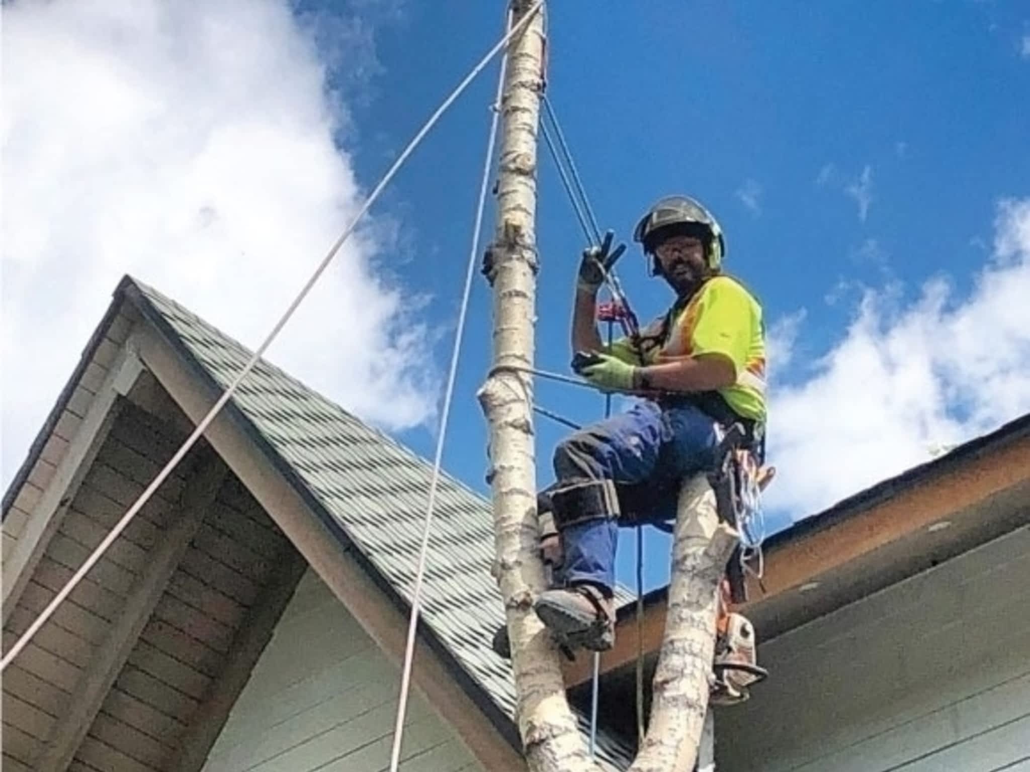 photo Ascent Tree Services Ltd.