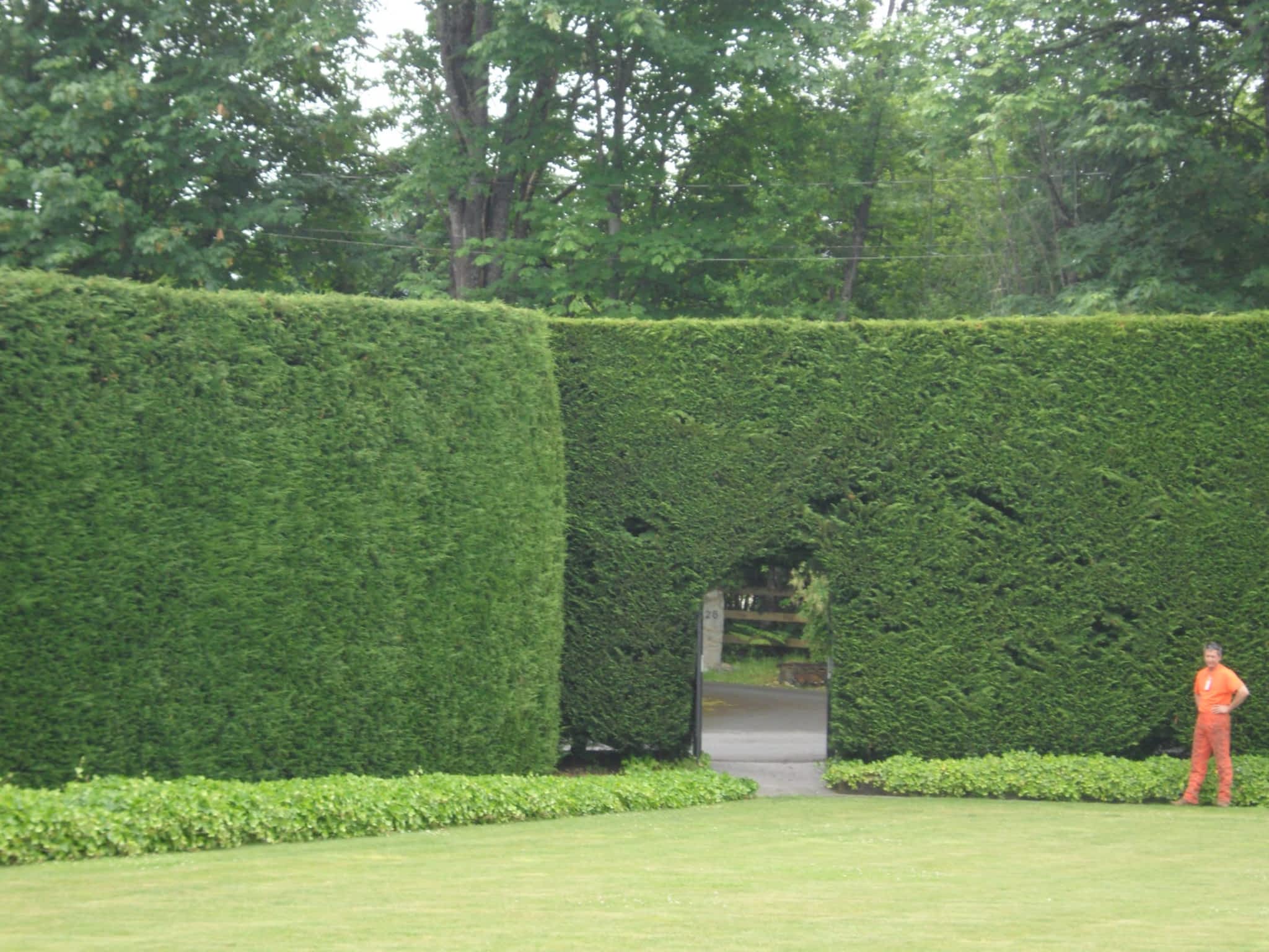 photo High Line Environmental