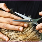 Terry's Travelling Scissors - Salons de coiffure et de beauté