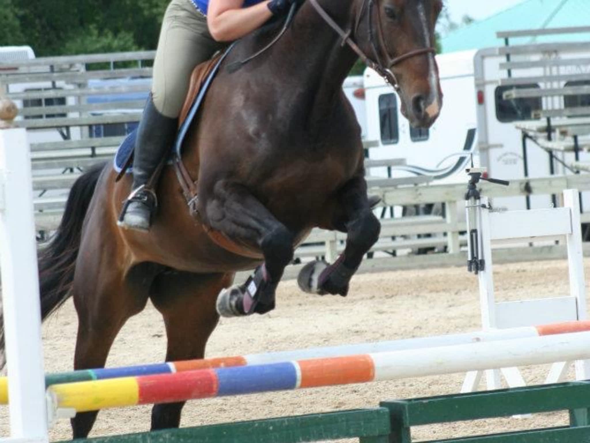 Grand Oak Meadow Stables Winnipeg, MB 1237 McCreary Rd Canpages