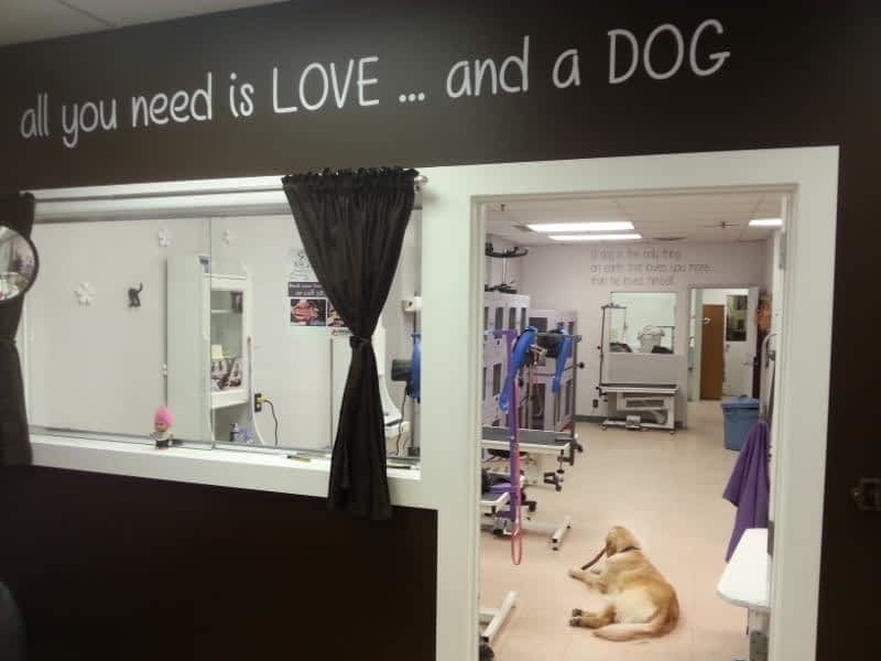 4 Paws Grooming Calgary, AB 1251829 Ranchlands Blvd NW Canpages