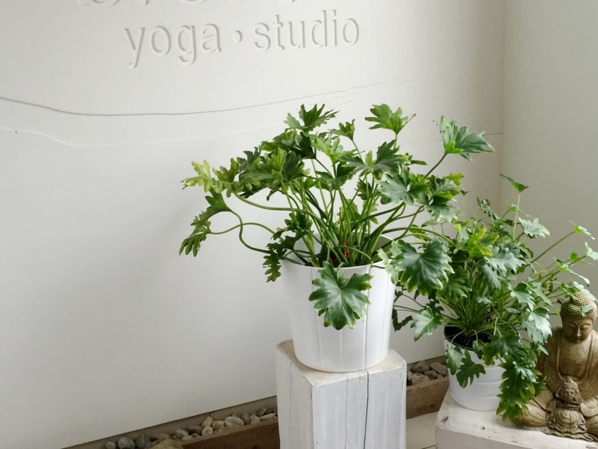 photo Breathe Yoga Studio