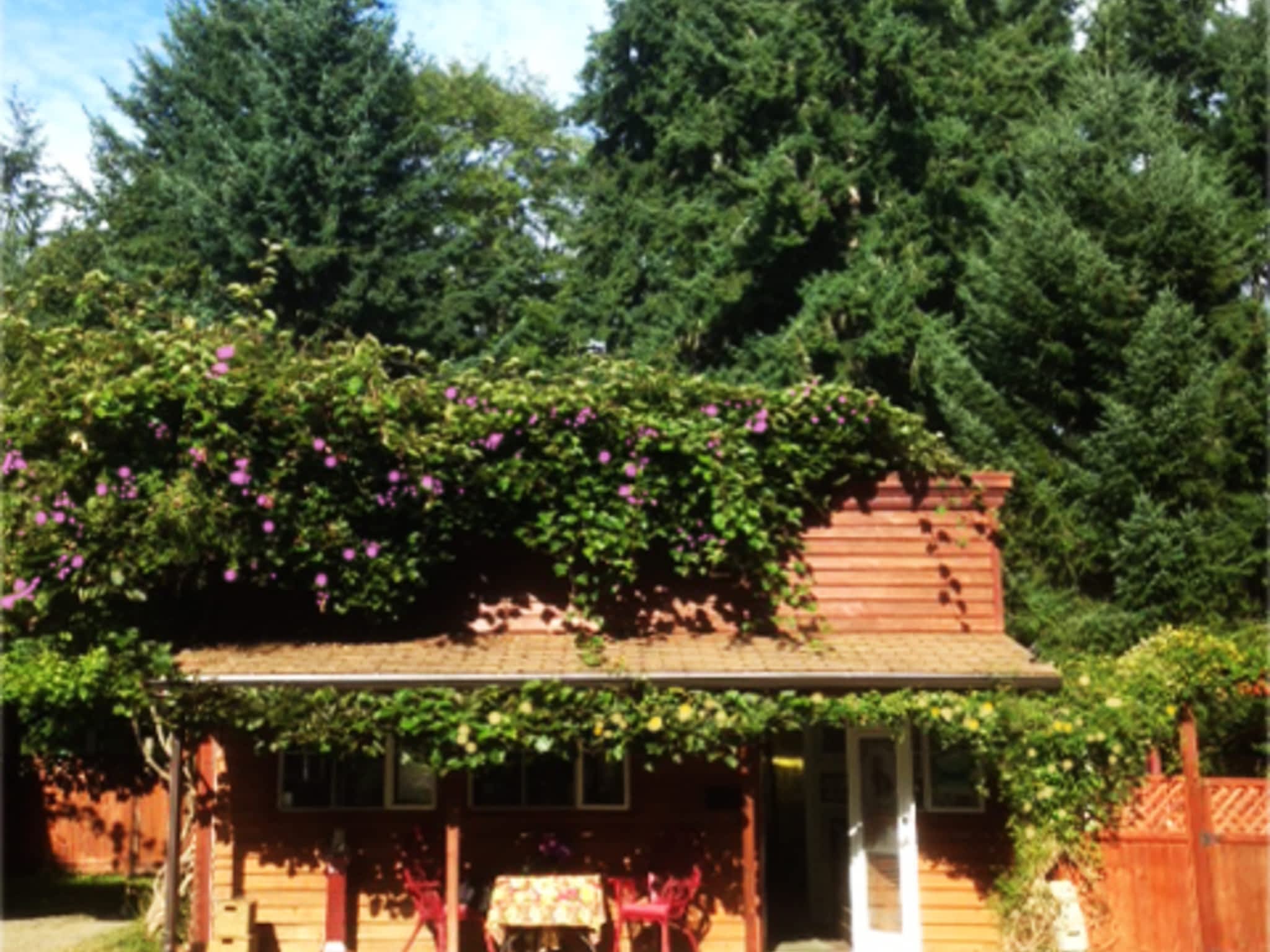 Comfy Cat Kennel Qualicum Beach, BC 5320 Island Hwy W Canpages