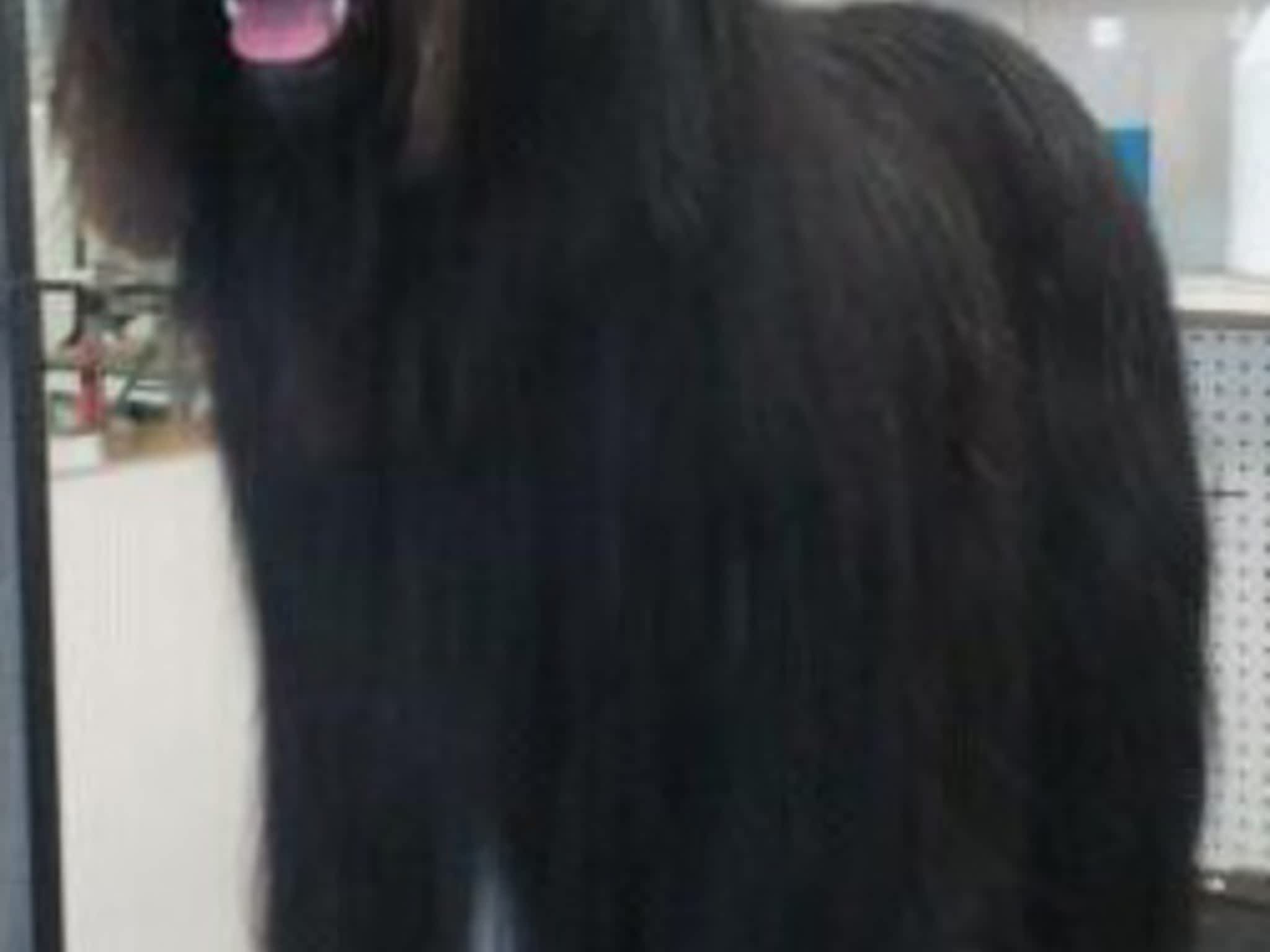 photo Thoughtful Paws