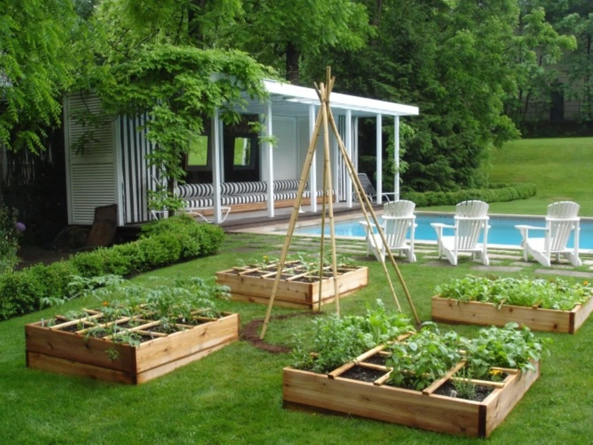 photo Young Urban Farmers