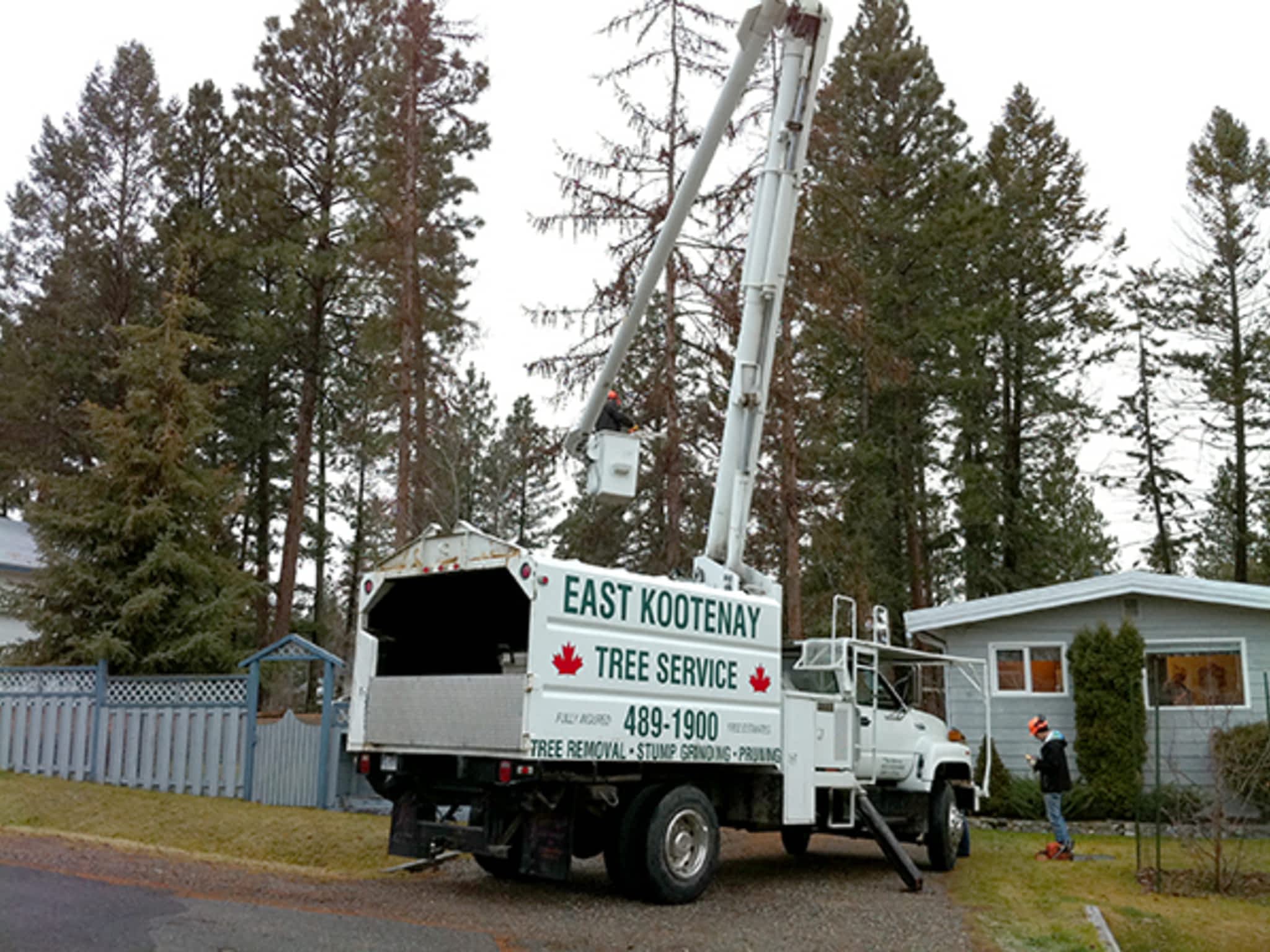 East Kootenay Tree Service Cranbrook, BC 561 Woodland