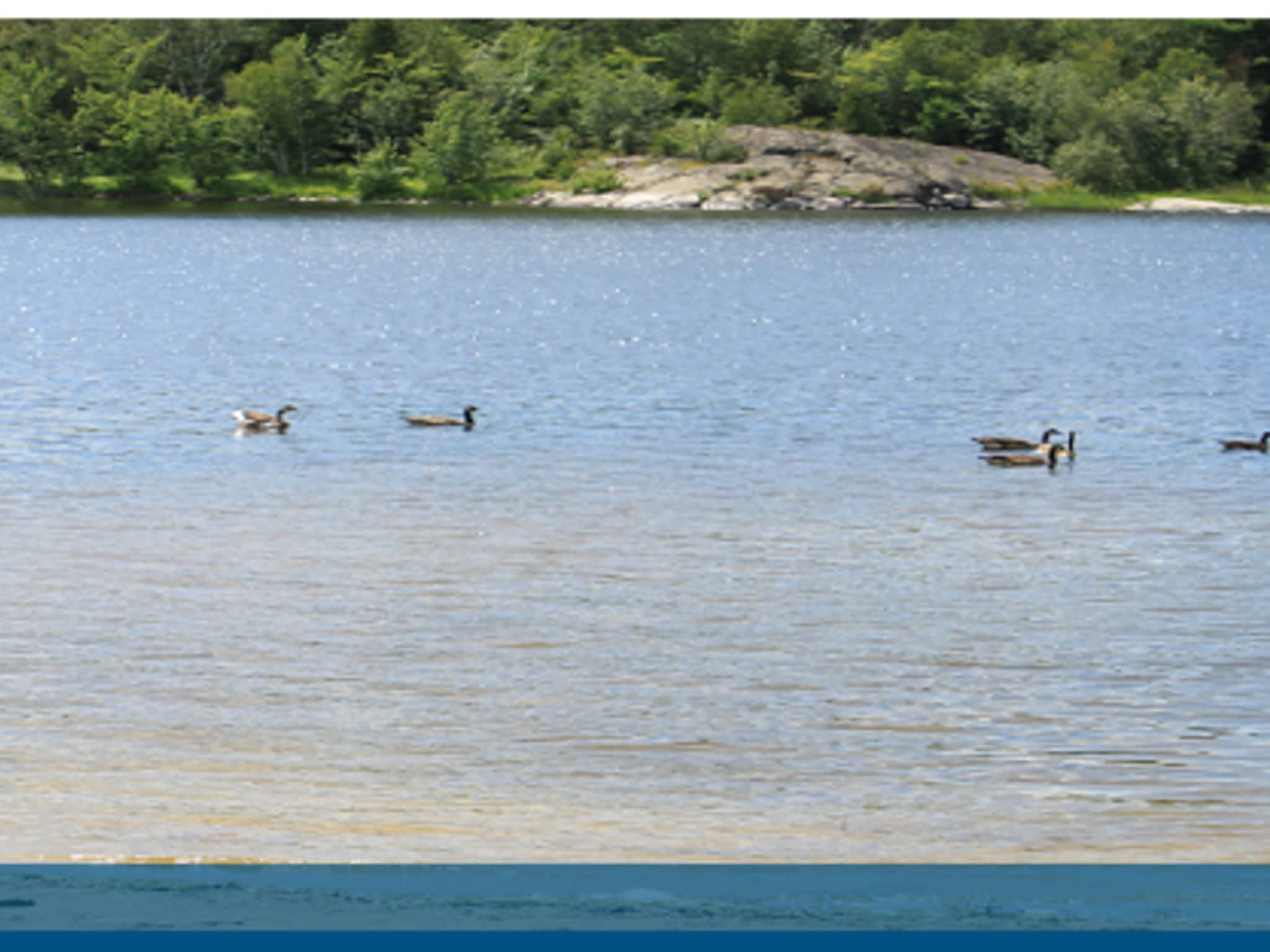 photo Cedar Grove Trailer Park