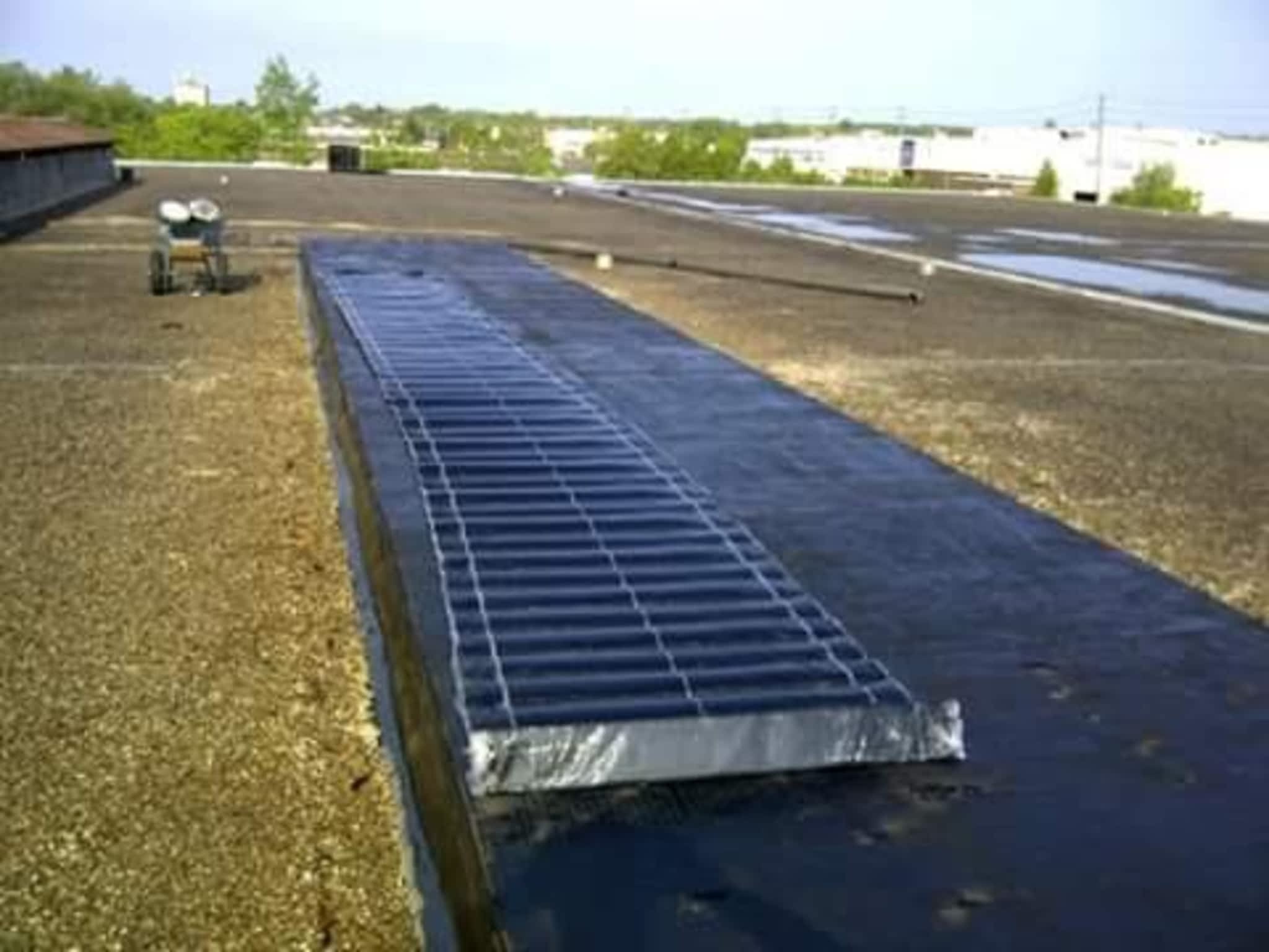 photo Roofed it Renos