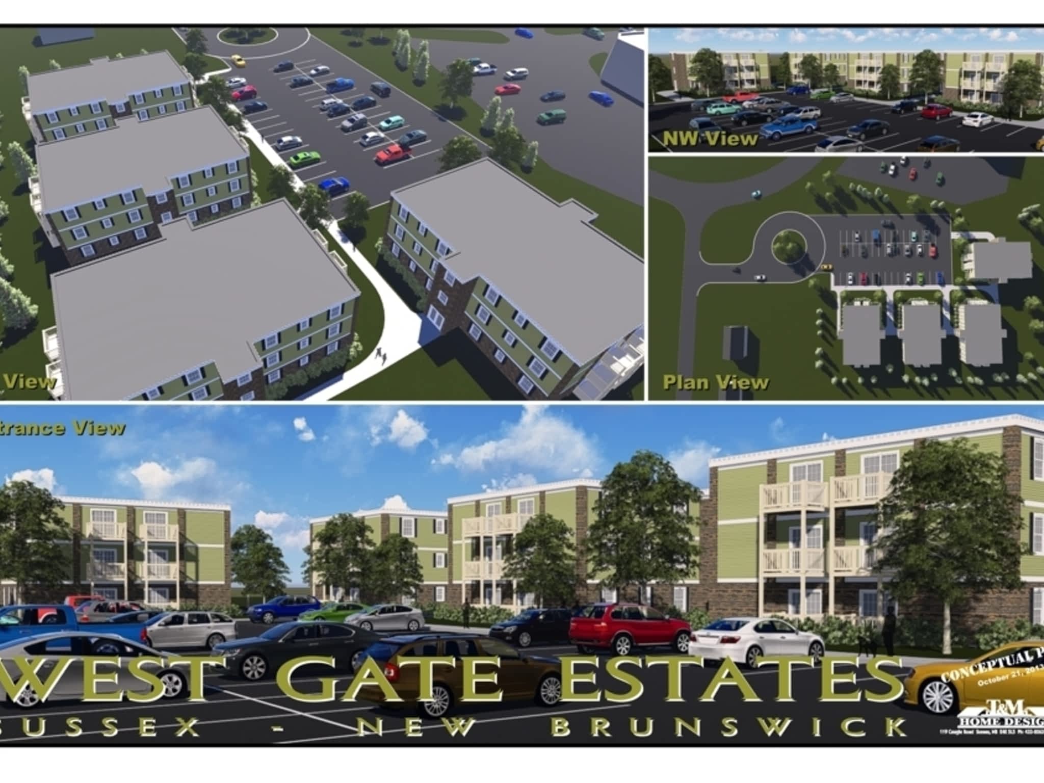 photo Polyline Designs