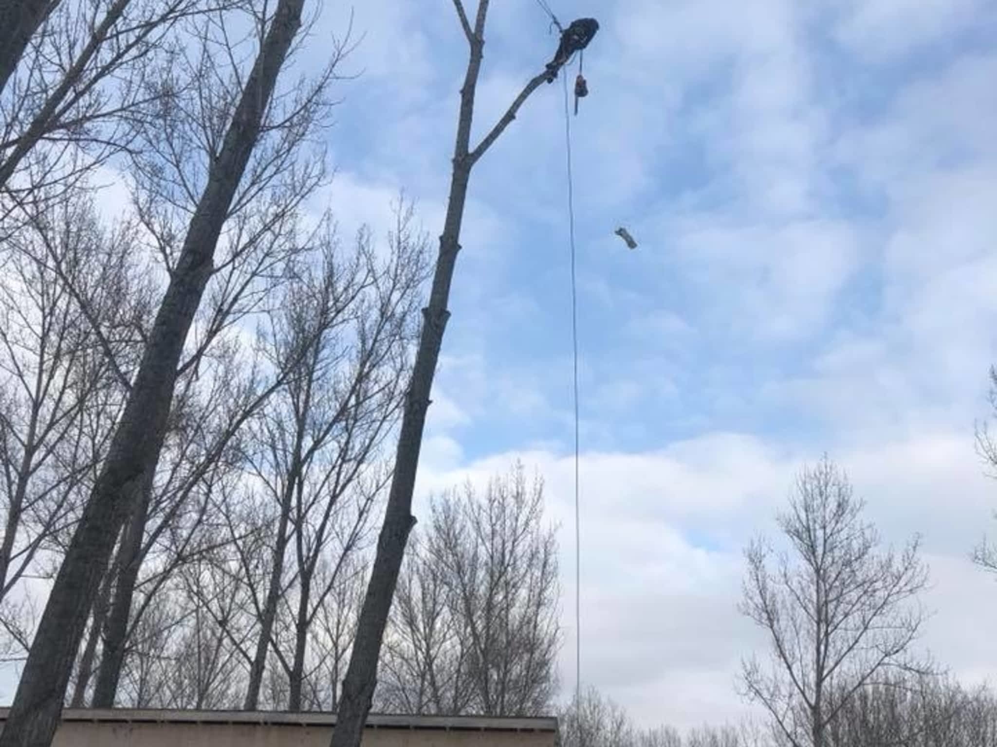 photo Emondage Patrick Perron