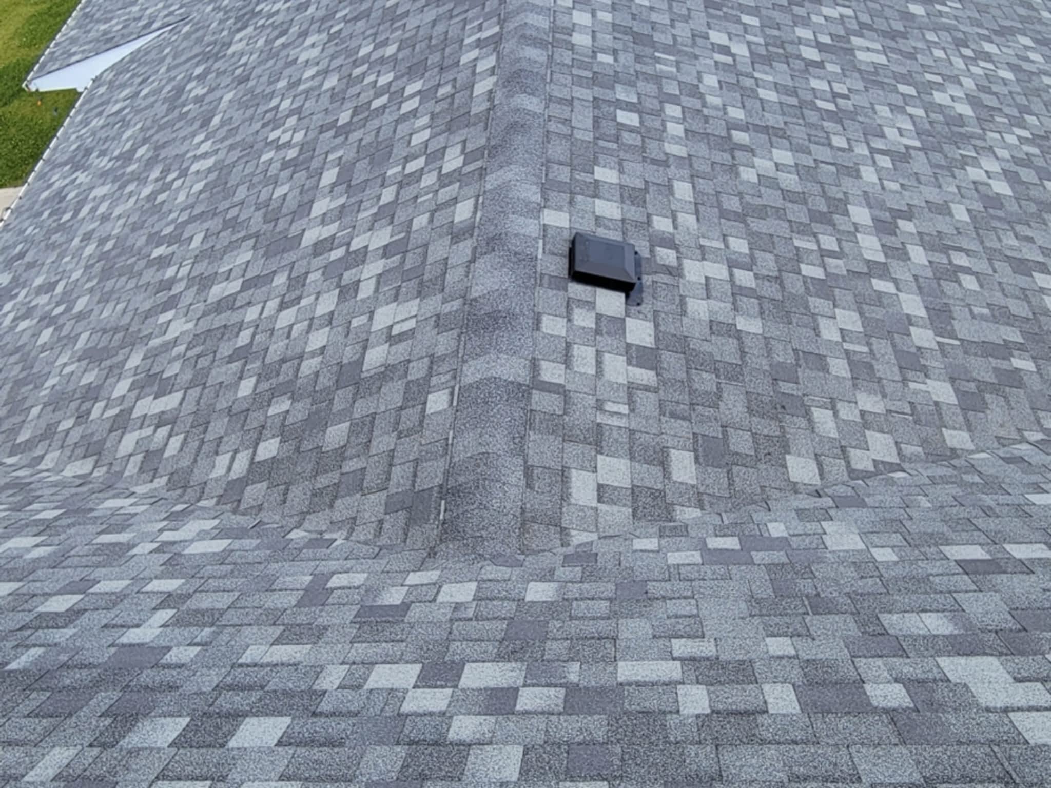 photo Raptor Mountain Roofing