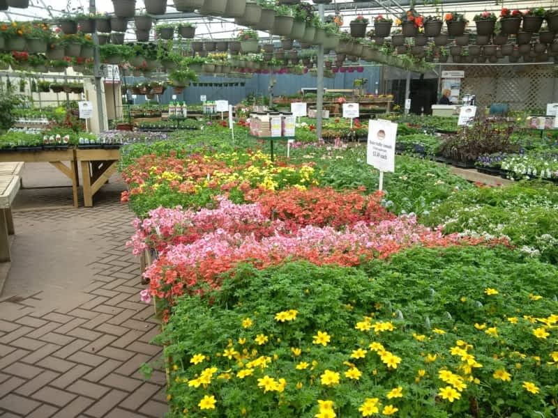 Parkland Nurseries & Garden Centre Ltd - Red Deer County, AB - 26554 ...