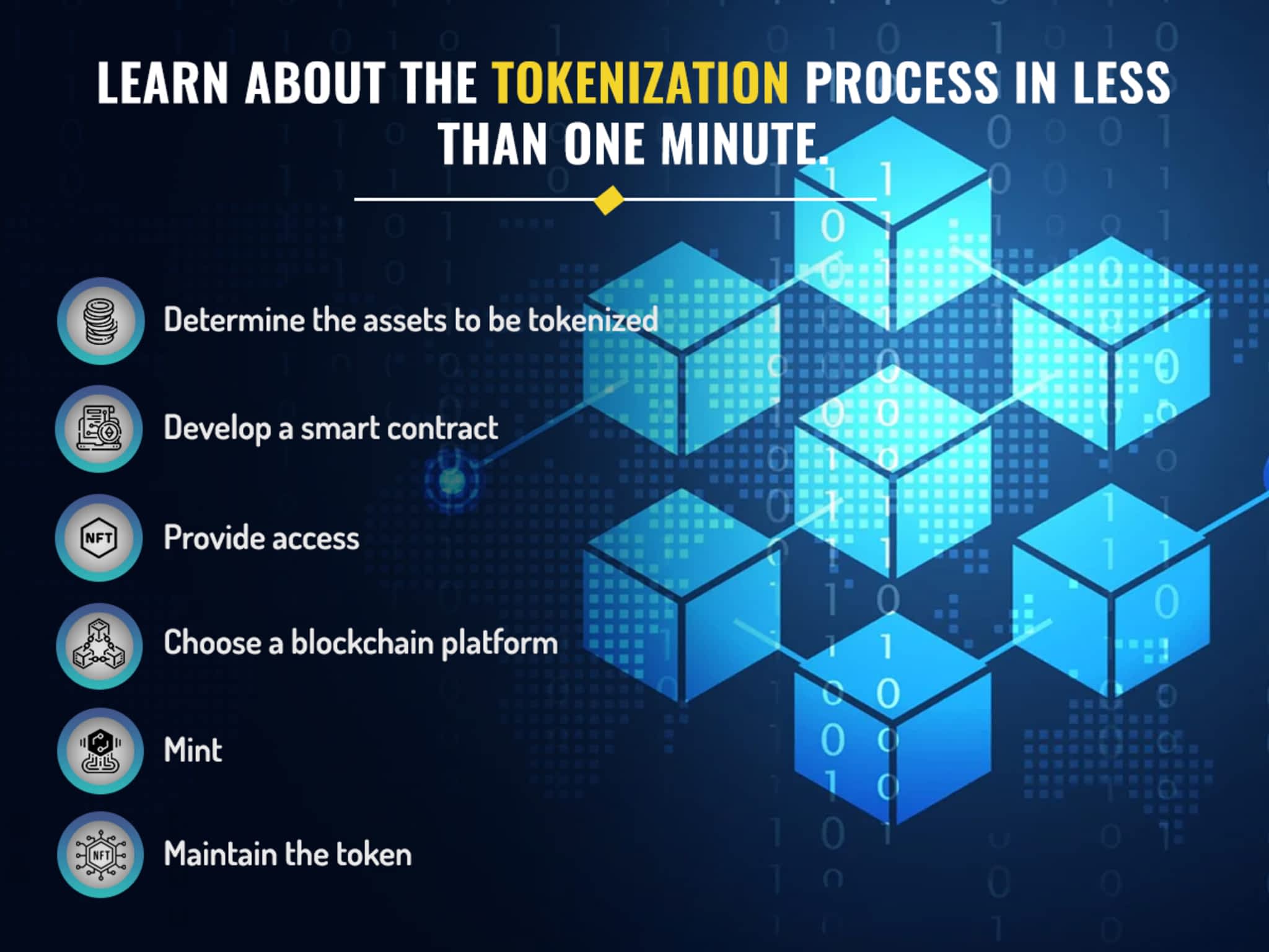 photo NetSet Software